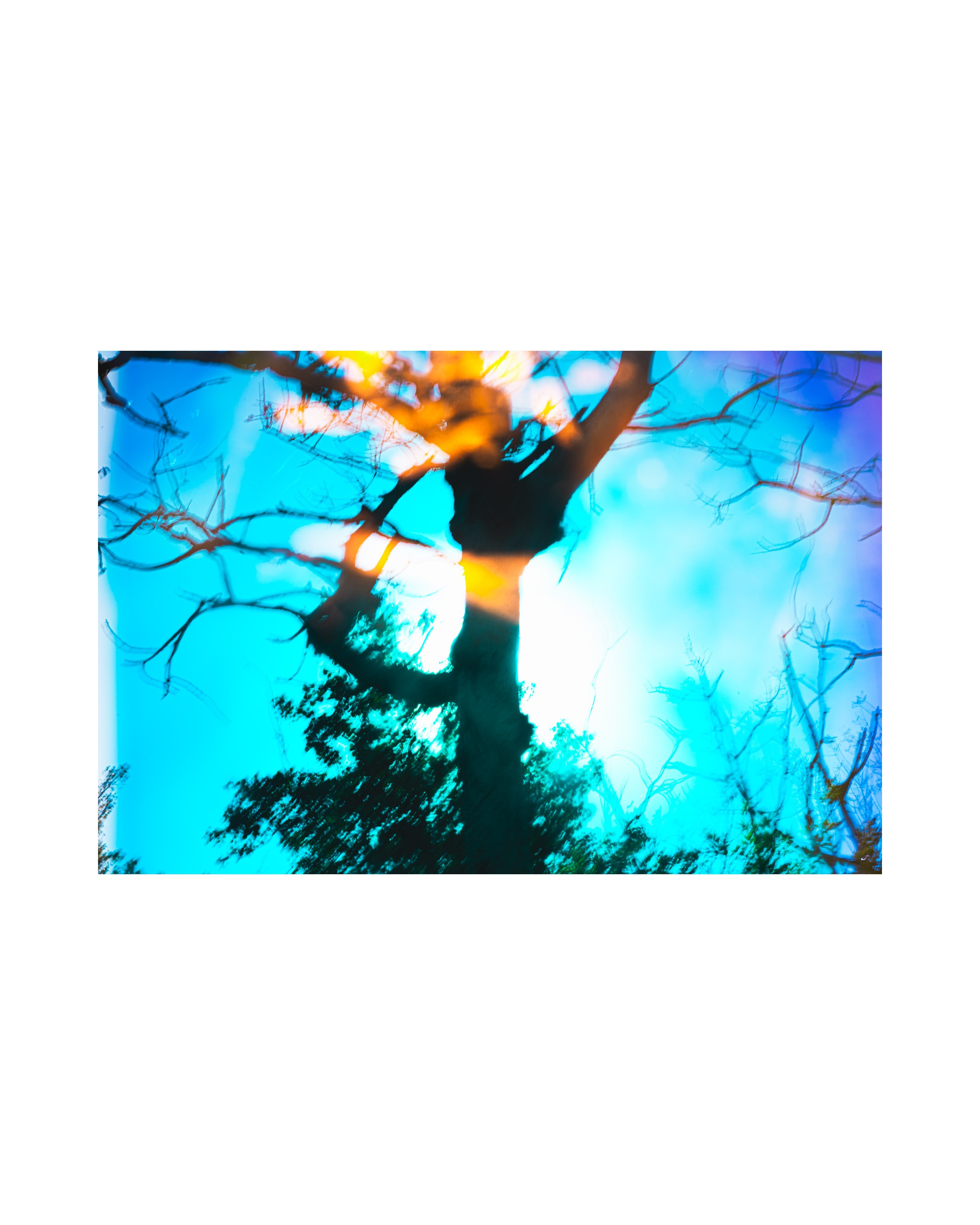 Nature from Exaggerated Worlds. Ekaterina Tsurkina-Appina Photography Canada