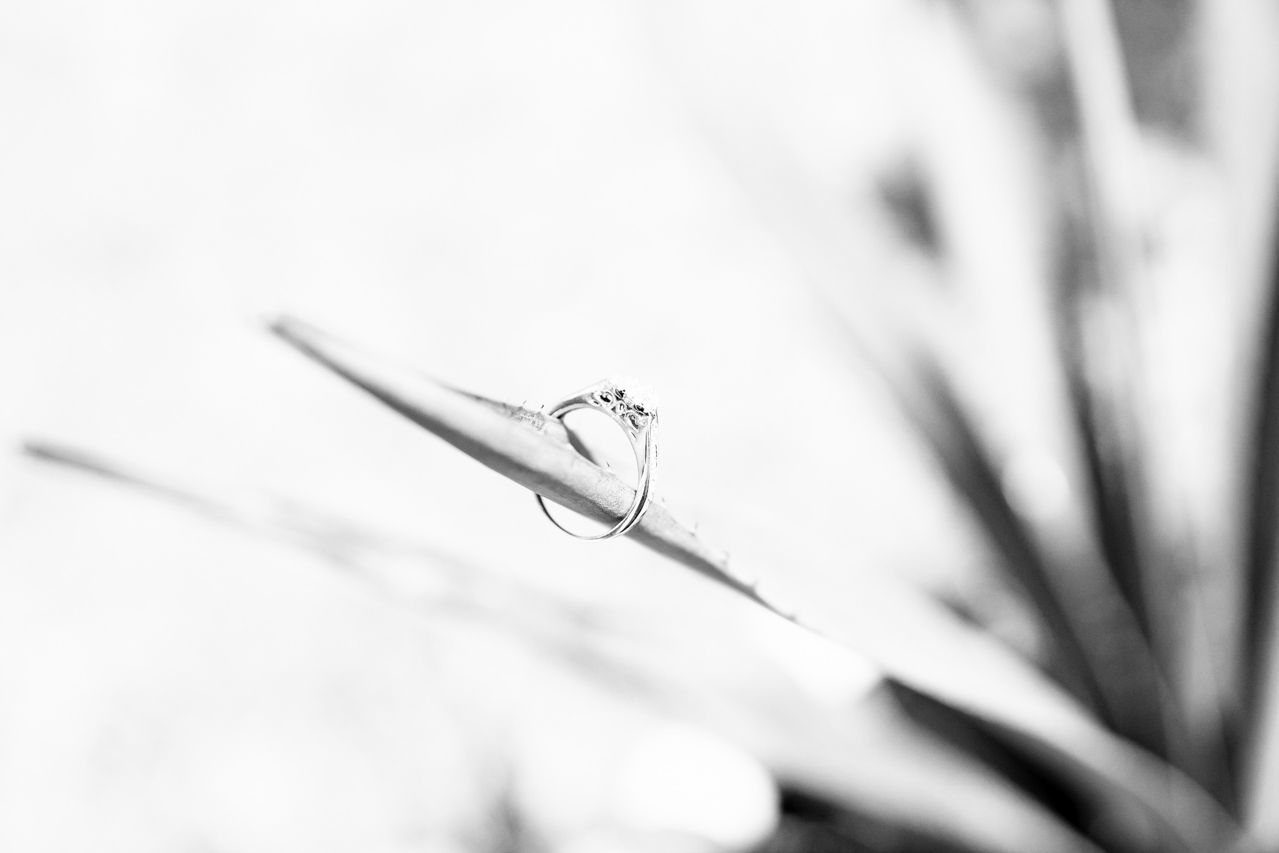 Diana y Saul. Wedding and family photographer in Mexico City