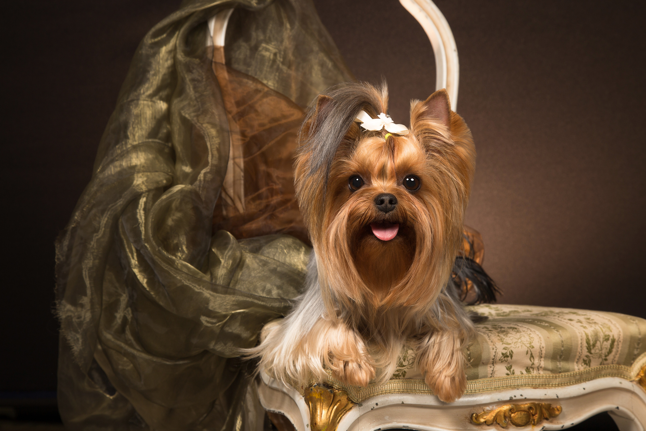 Mishel (3 фото). Фотограф в Таллине Виктория Баранова |фотосессии и обучение / Photographer Viktoria Baranova