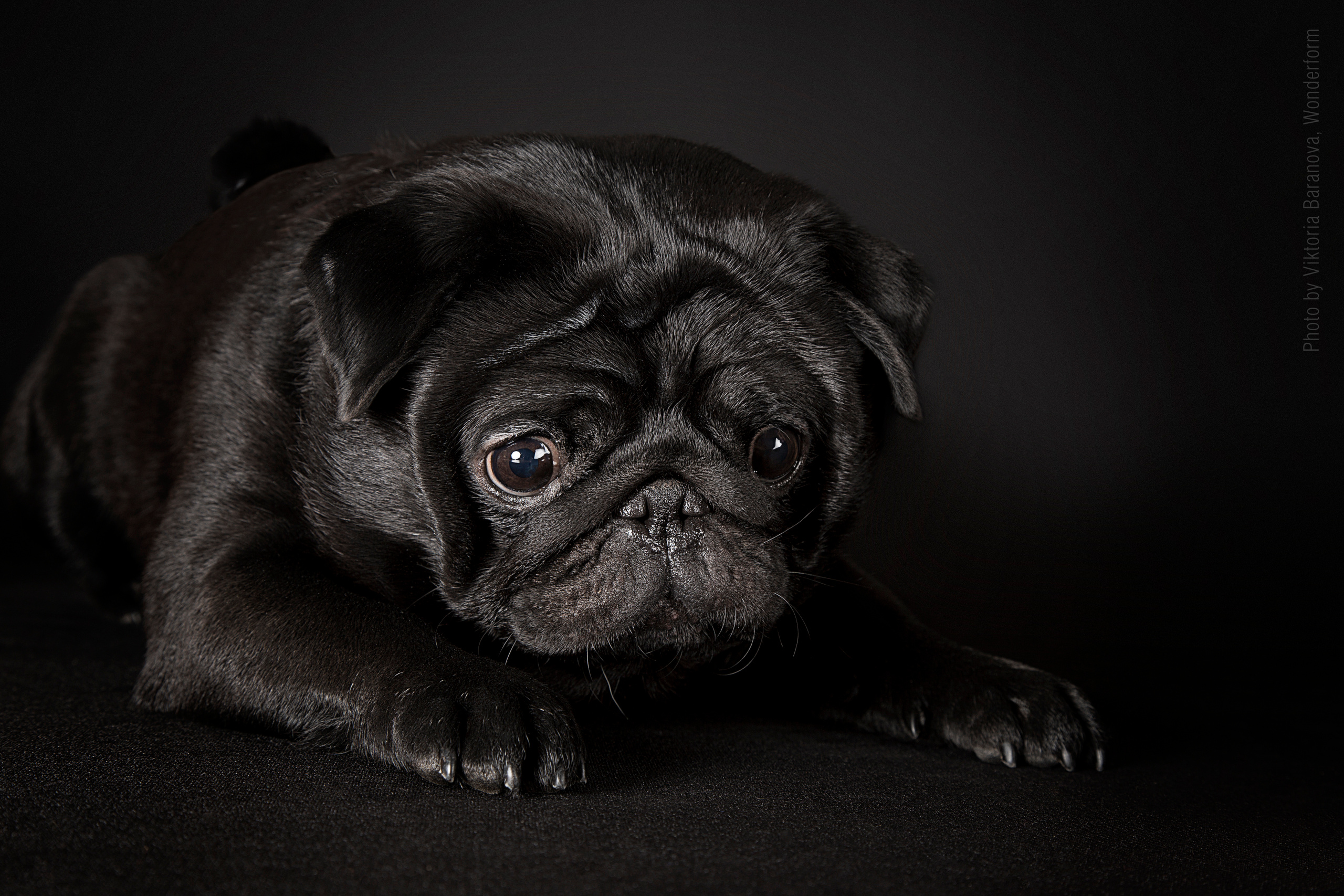 Kristina. Фотограф в Таллине Виктория Баранова |фотосессии и обучение / Photographer Viktoria Baranova