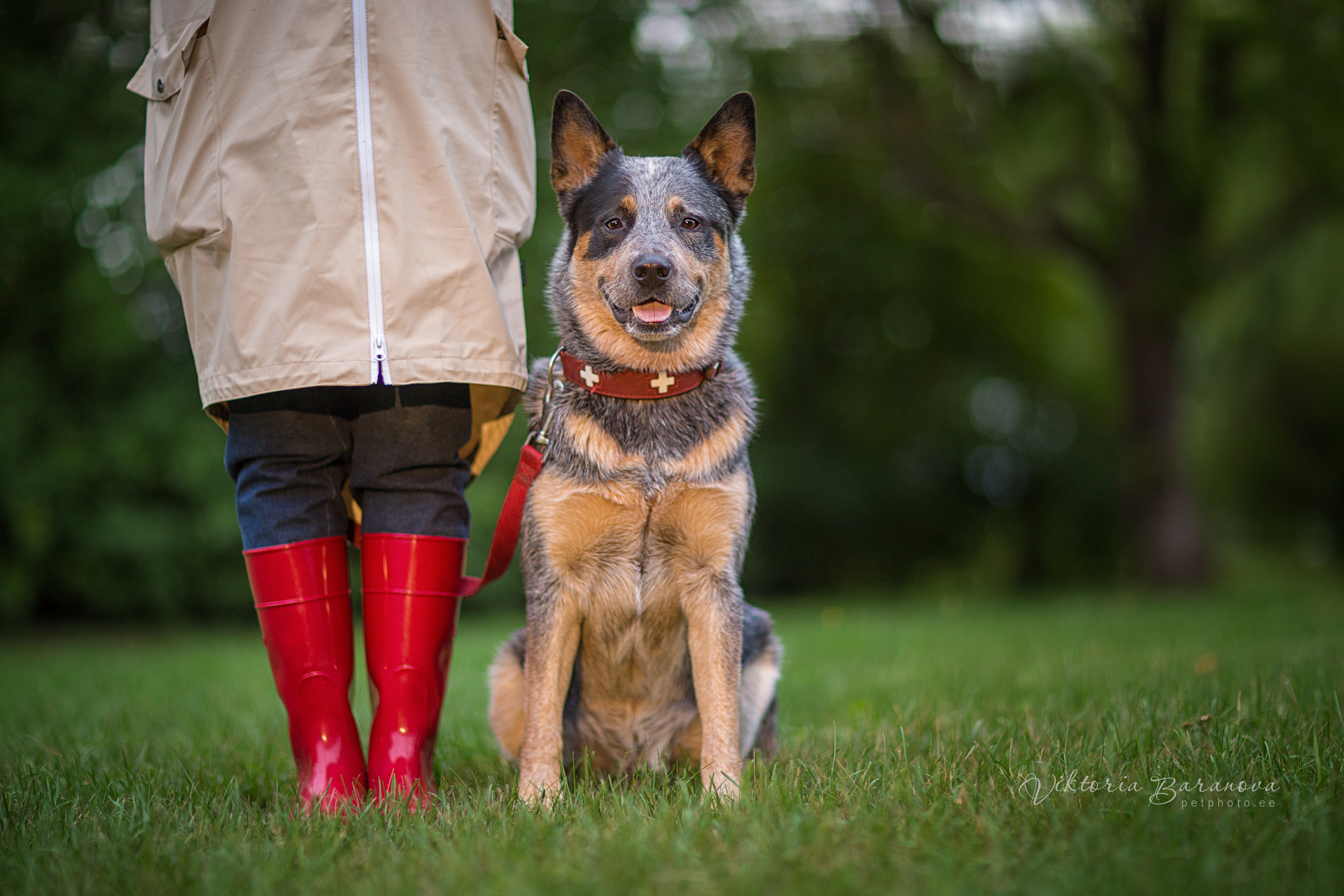 MK 2 (5 фото). Фотограф в Таллине Виктория Баранова |фотосессии и обучение / Photographer Viktoria Baranova