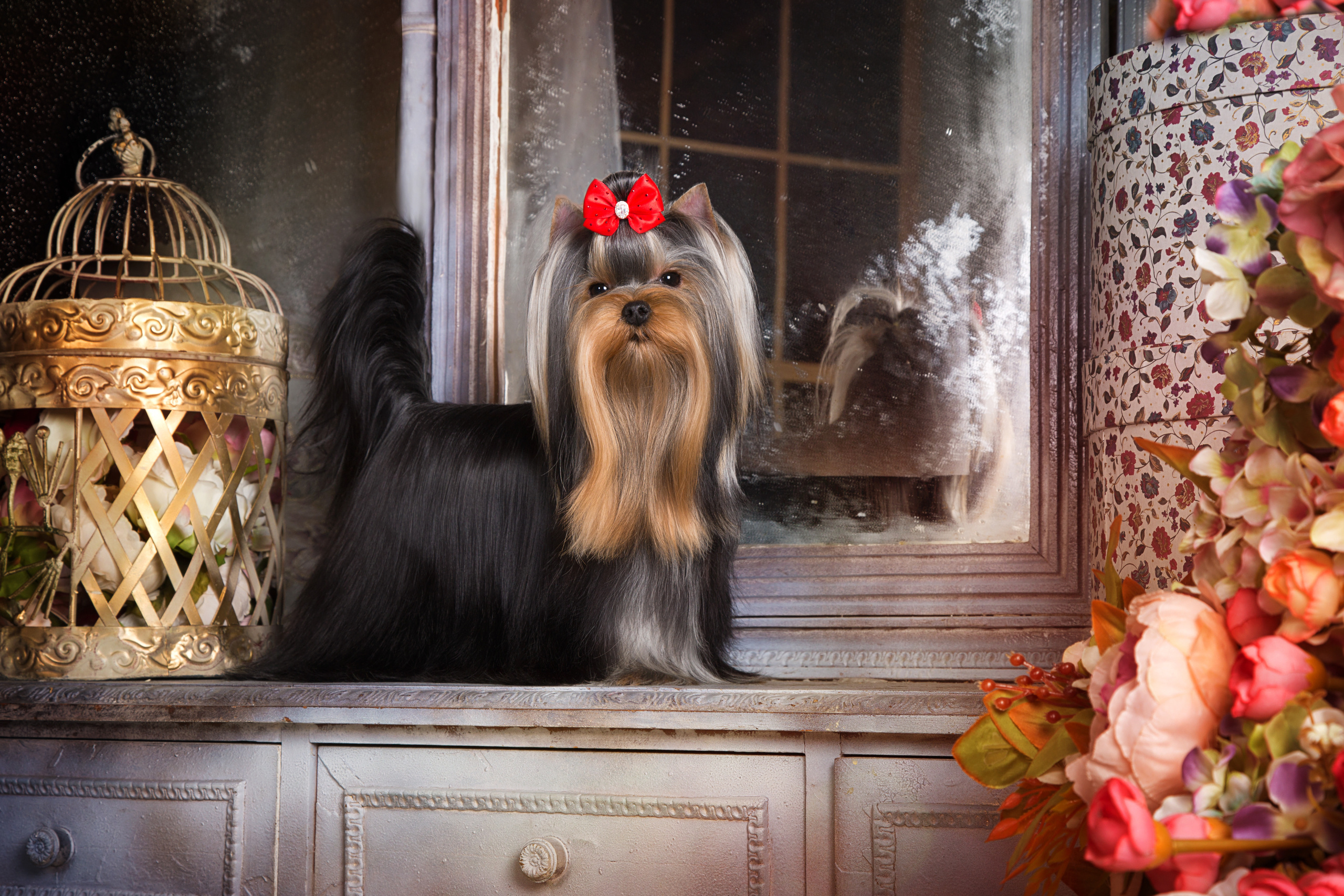 Julja Popova (6 фото). Фотограф в Таллине Виктория Баранова |фотосессии и обучение / Photographer Viktoria Baranova