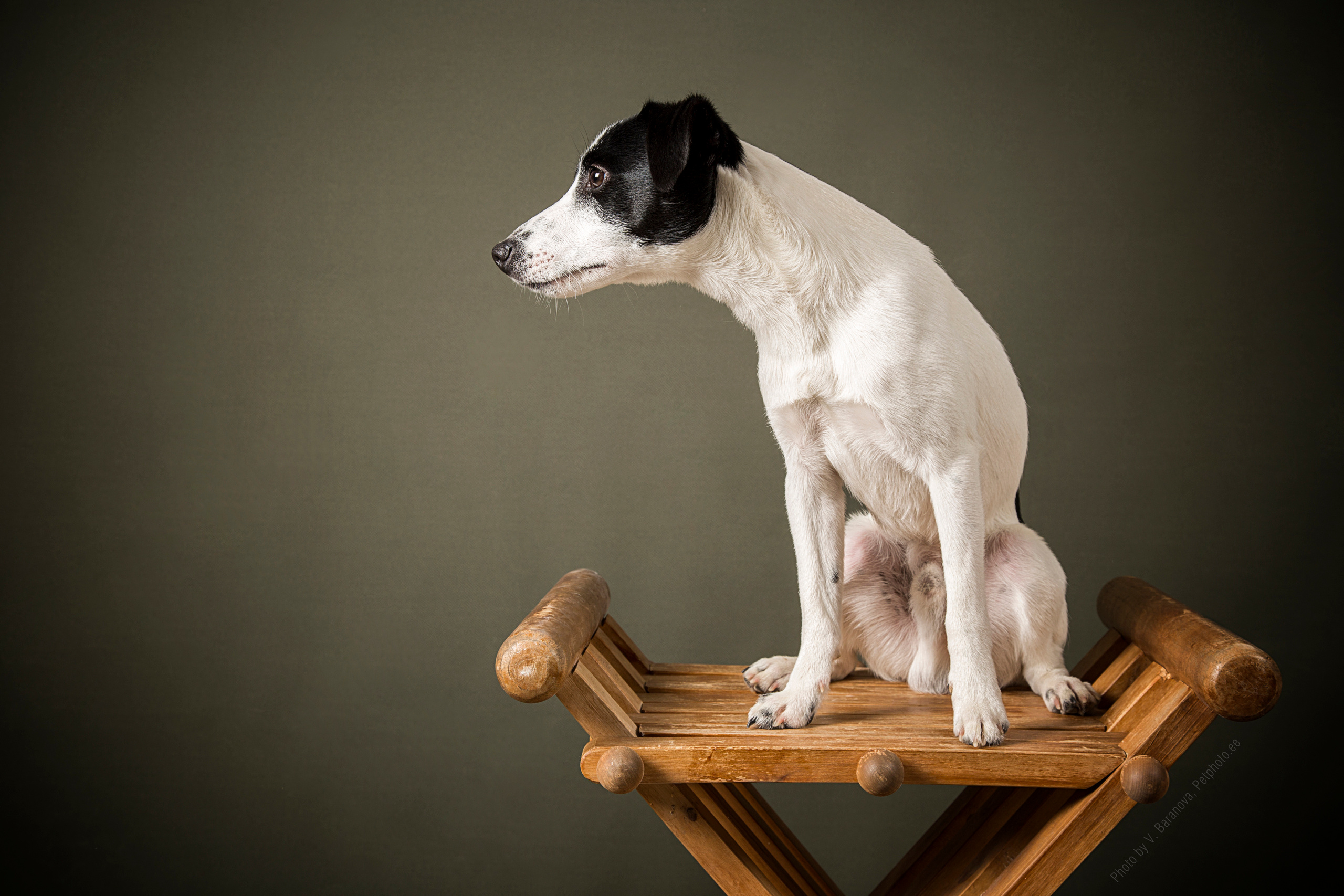 Natalja Garashenko. Фотограф в Таллине Виктория Баранова |фотосессии и обучение / Photographer Viktoria Baranova