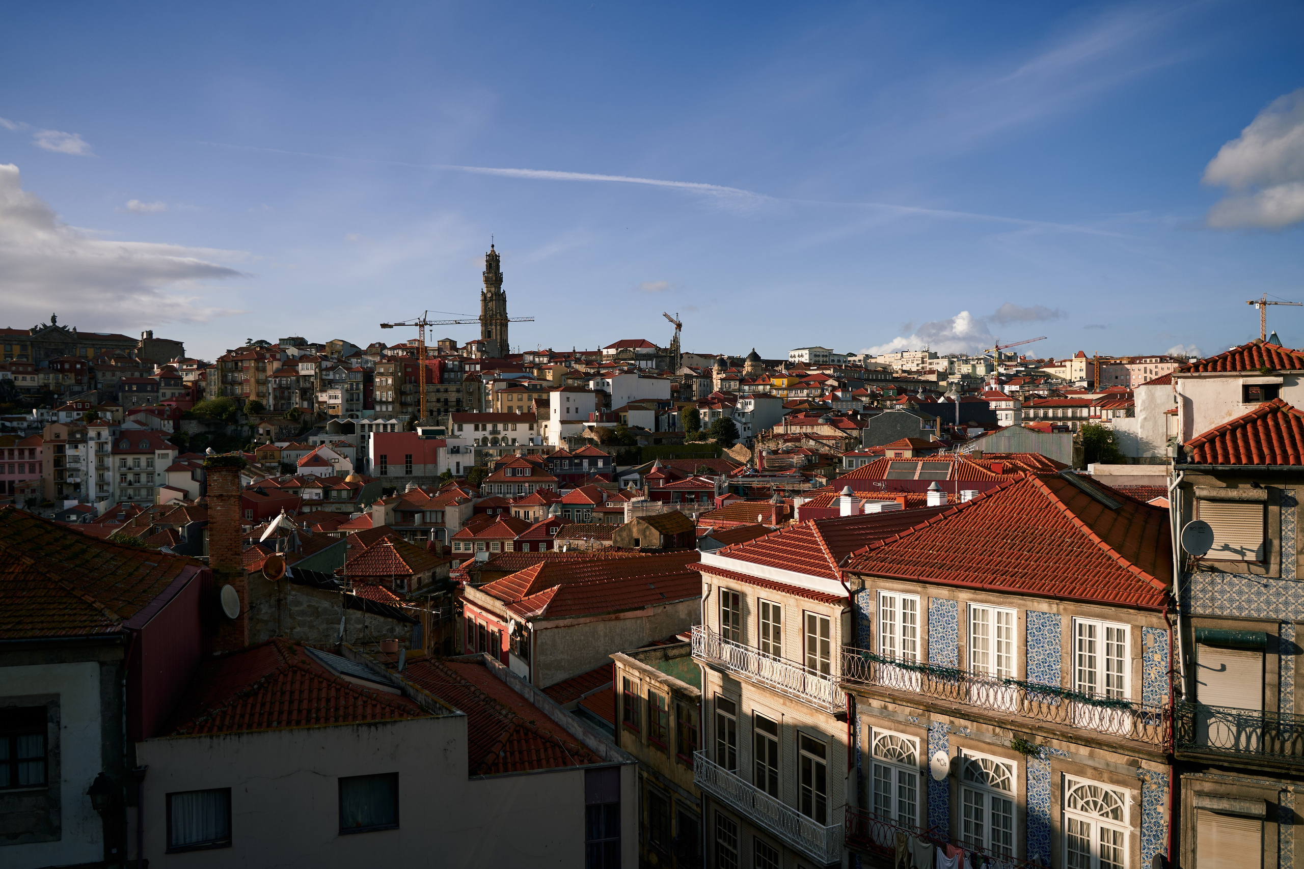 Portugal. Denshyr — Visual Artist