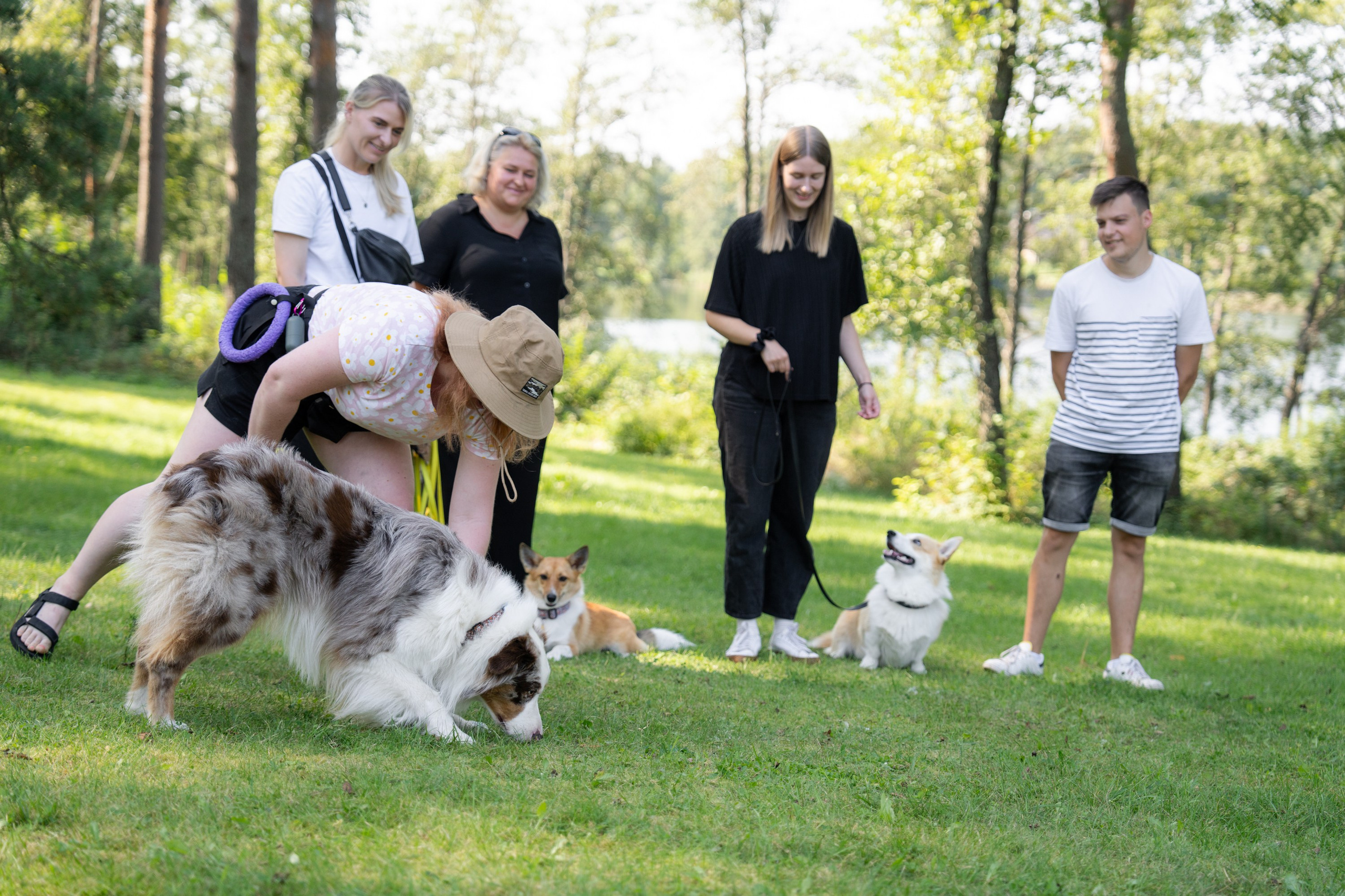 Heppi Dogo fest 2025. Vita Klimaševska ○ Fluffy Soulmate Photography