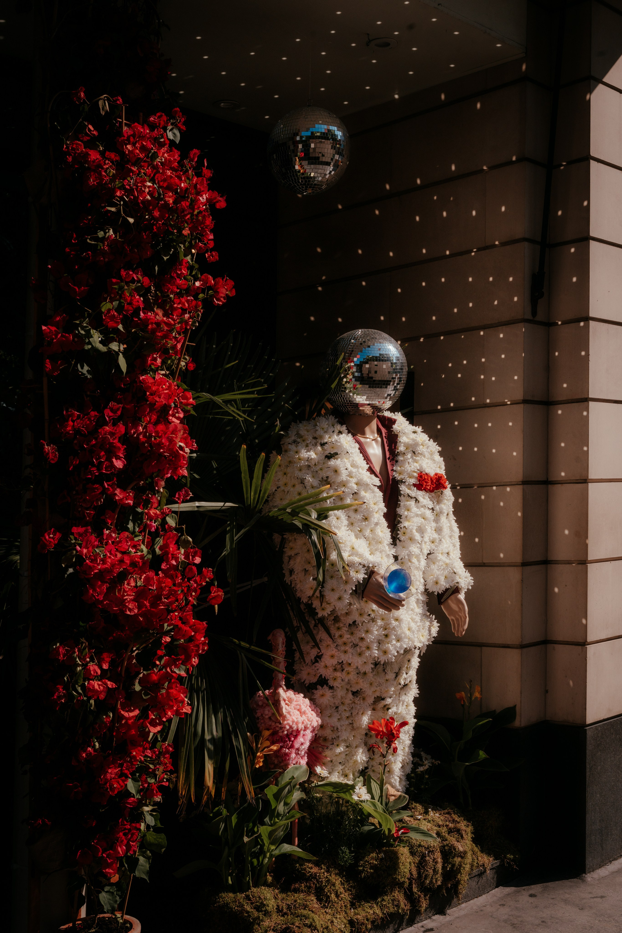 Chelsea_in_bloom. Tonya Kyrylenko photographer in London