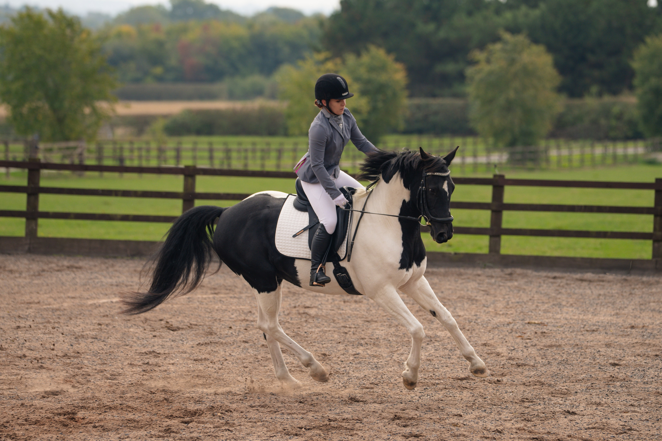 Dressage. Leicestershire Equine Photography by El | Authentic Equine Portraits & Events