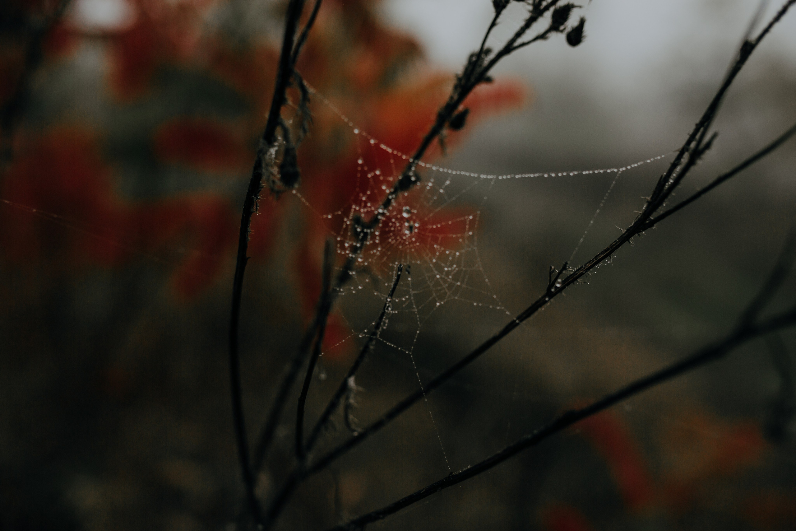 M & G. Fotograf Nunta Iasi - Hearts & Pictures