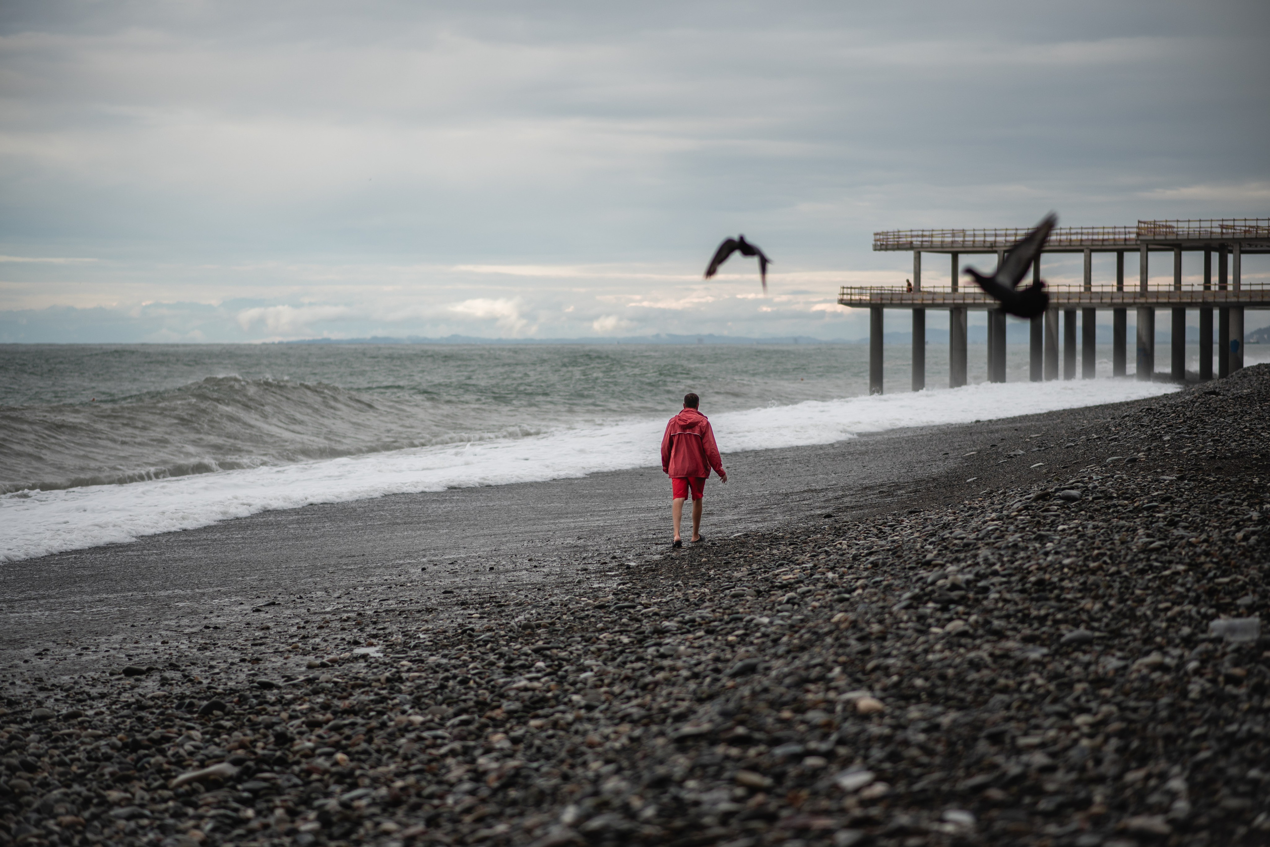 Lifeguard. Ekaterina Verbitskaya. Photography