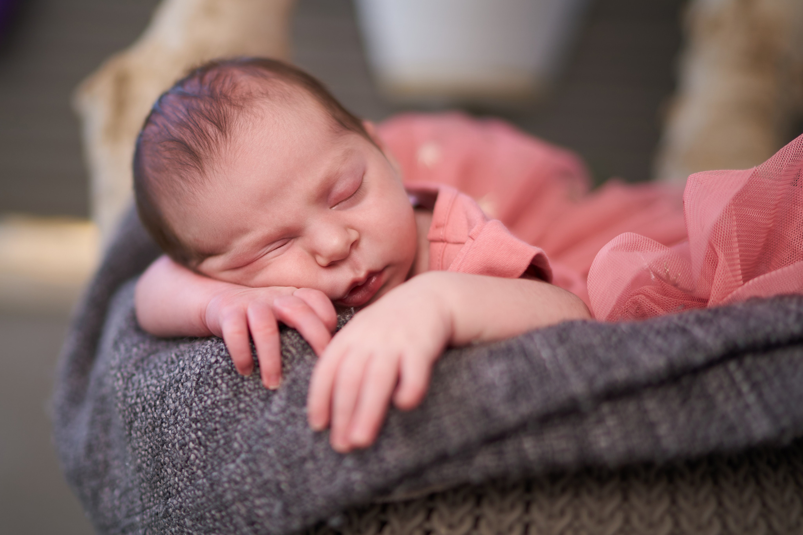 Newborn — Mia. צלם אלכס ברט בישראל