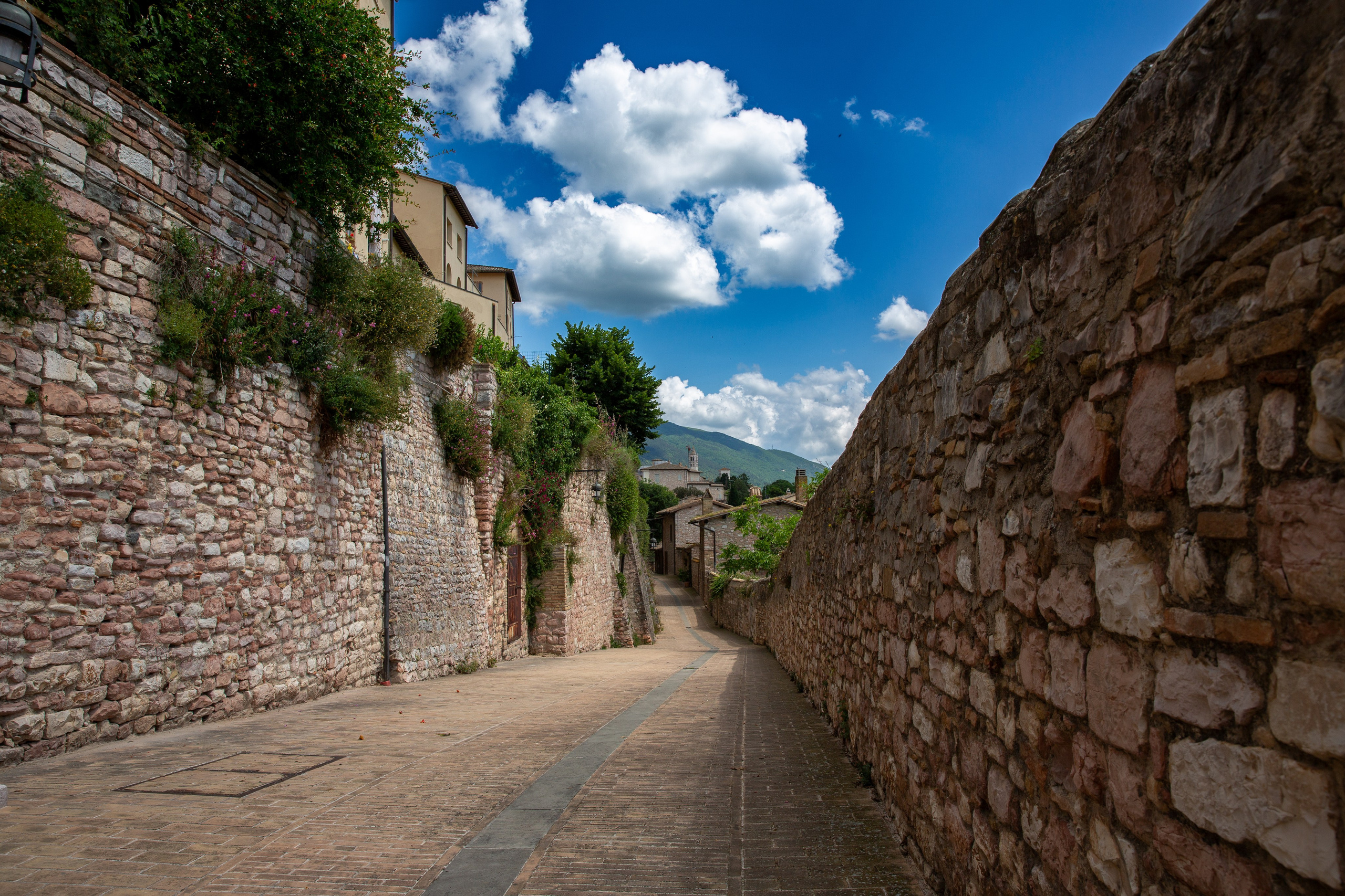 Paisagens. Thiago Chinellato