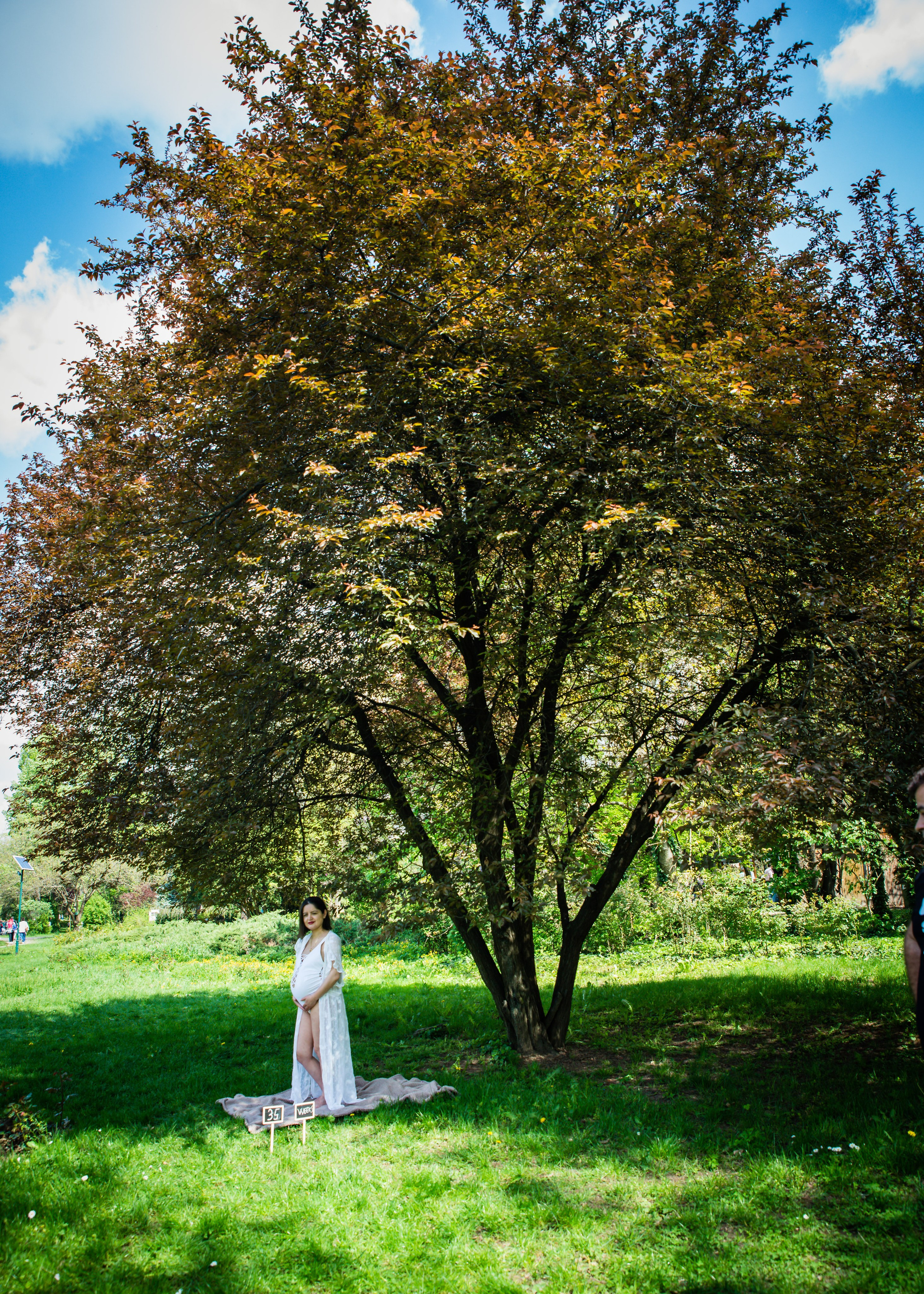 Ilinca. Acasă