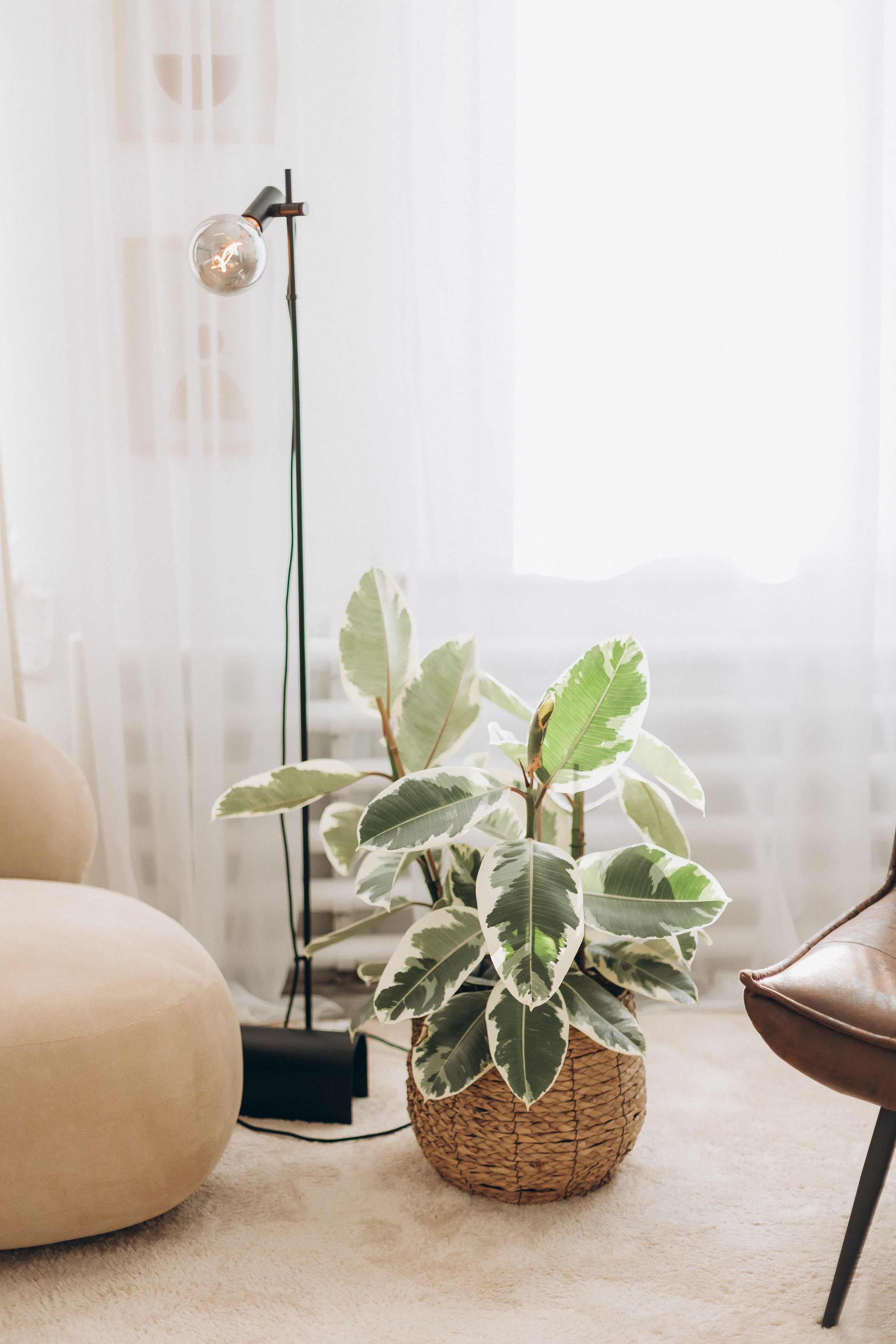 Angelika & Oleg. Wedding and Family Photograph