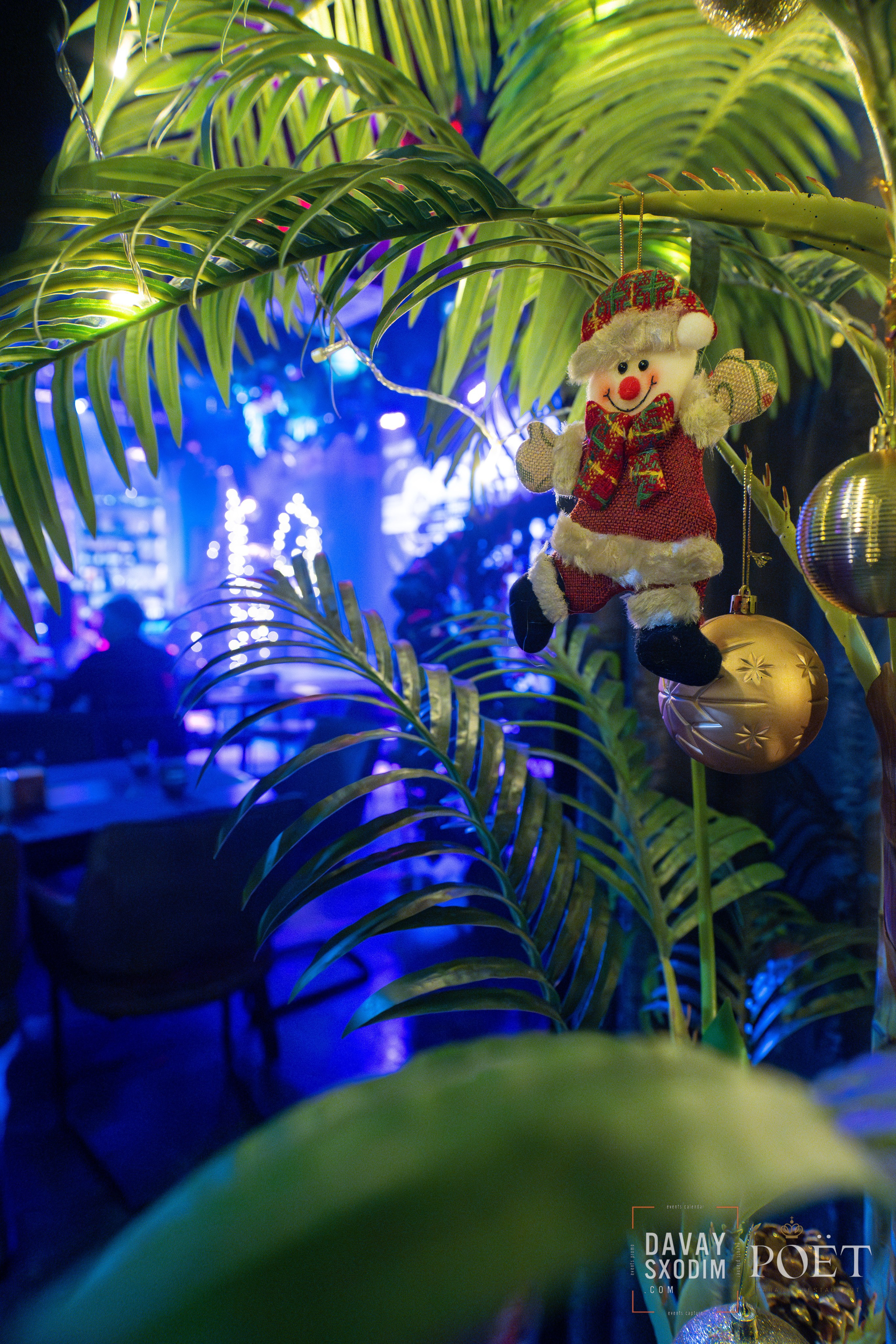 Ночь караоке | Фоторепортаж | Видеорепортаж | Афиша | DAVAYSXODIM.com PHUKET. АФИША|ФОТОРЕПОРТАЖИ|ИВЕНТЫ|ПХУКЕТ