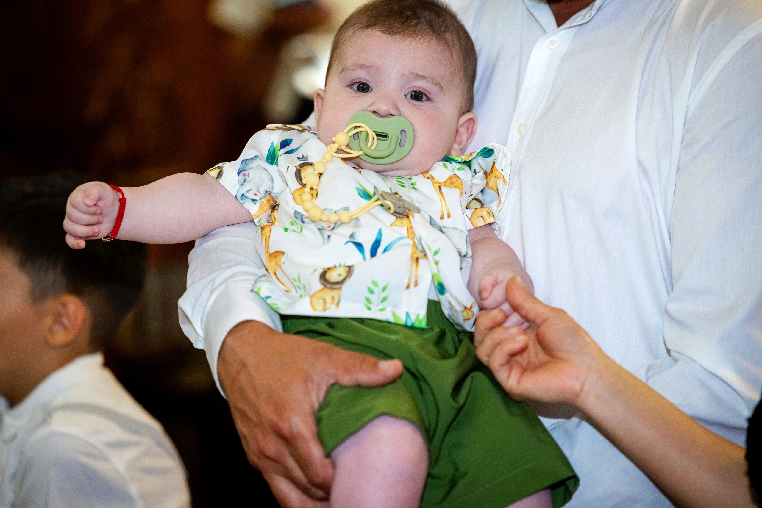 Andrei Damian. Moments By Gub