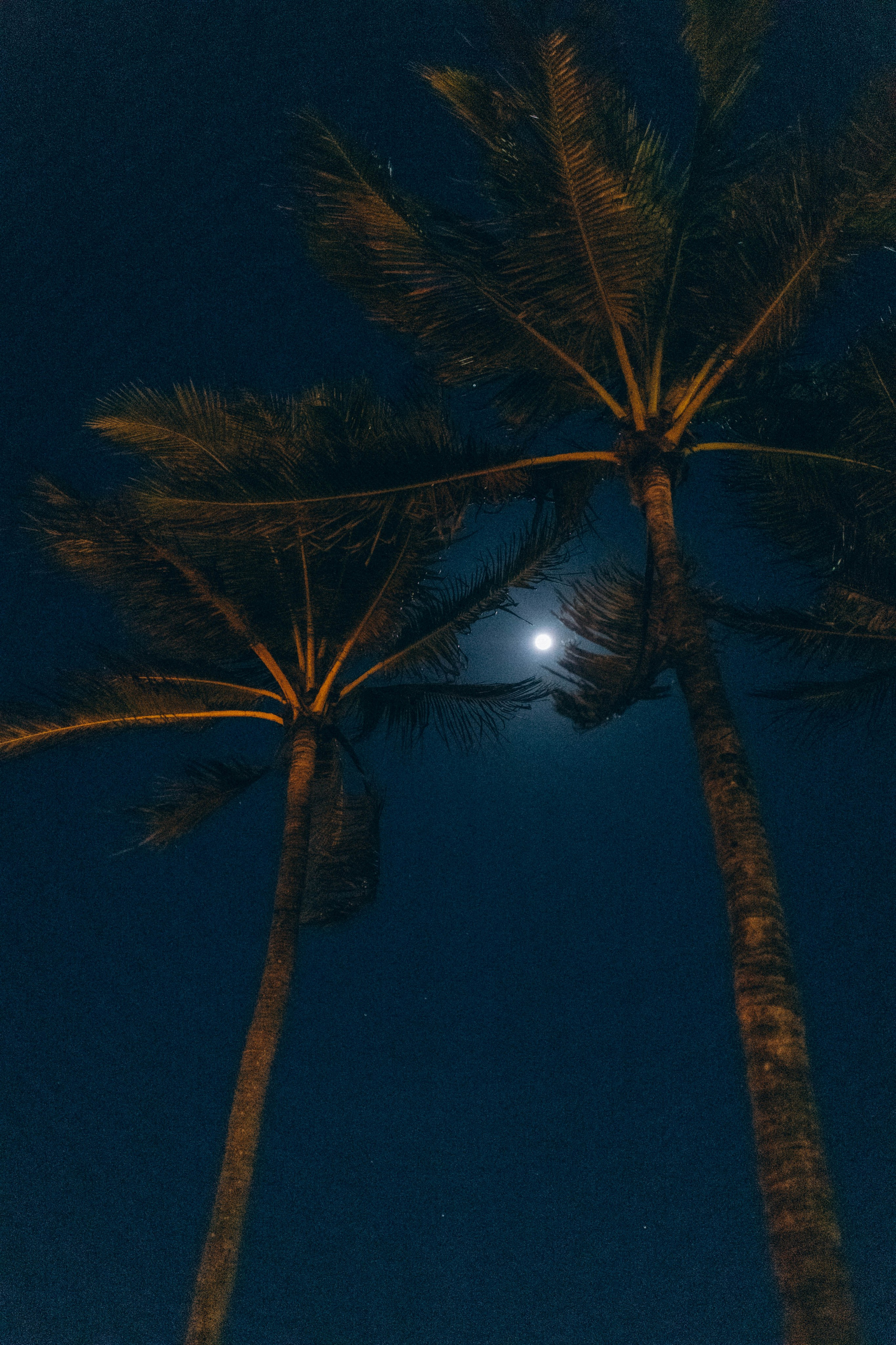 STREET. TETIANA UDOVYCHENKO PORTRAIT PHOTOGRAPHER