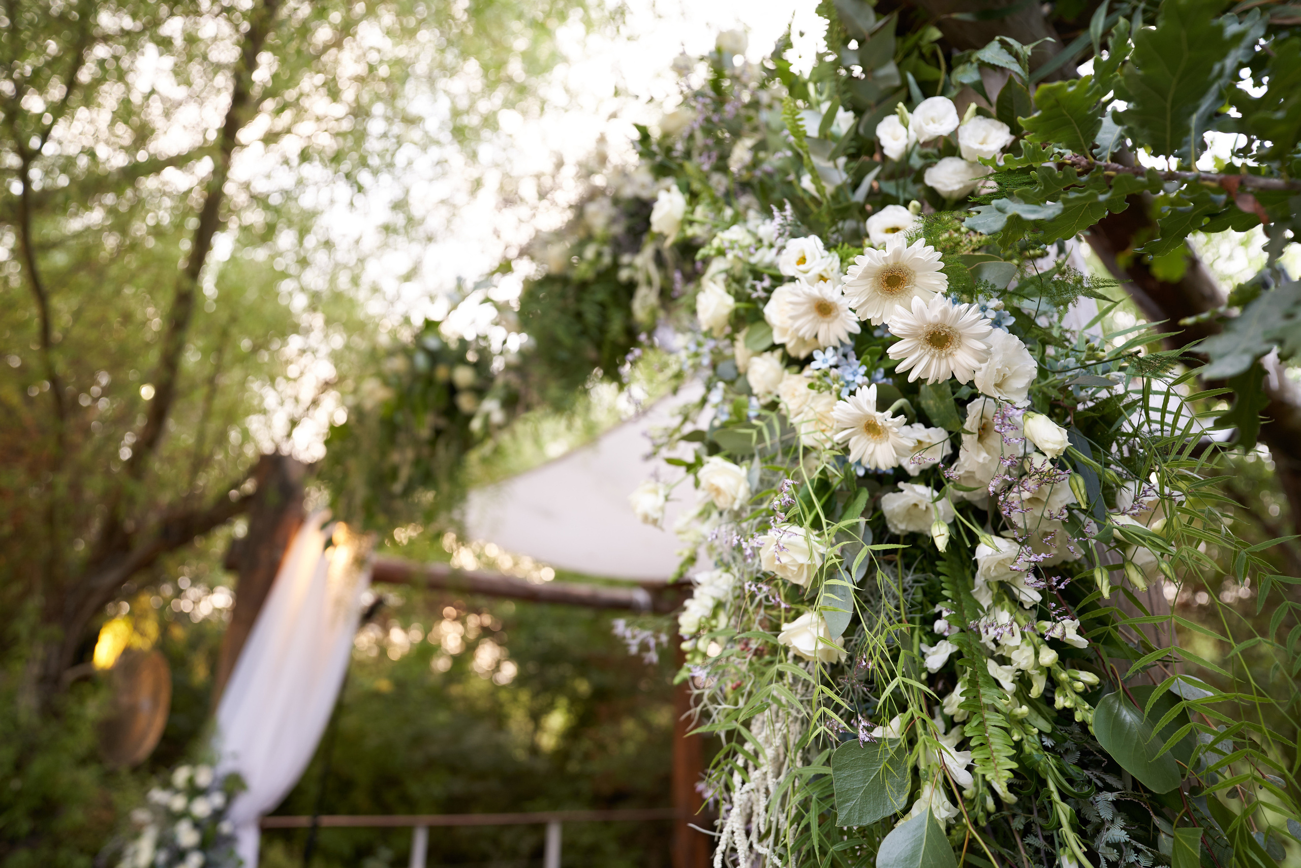 Alex&Daniel Series. צלם אלכס ברט בישראל