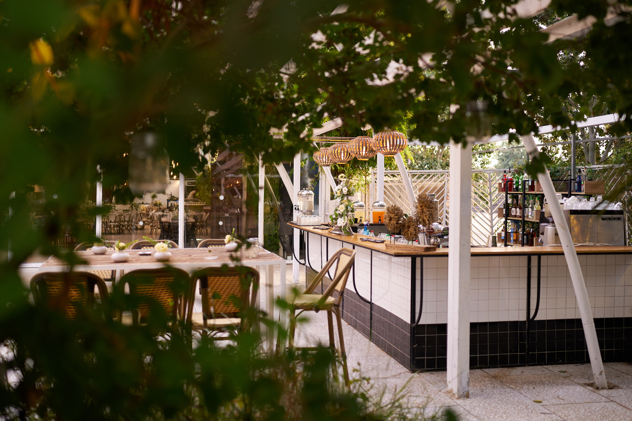 Alex&Daniel Series. צלם אלכס ברט בישראל