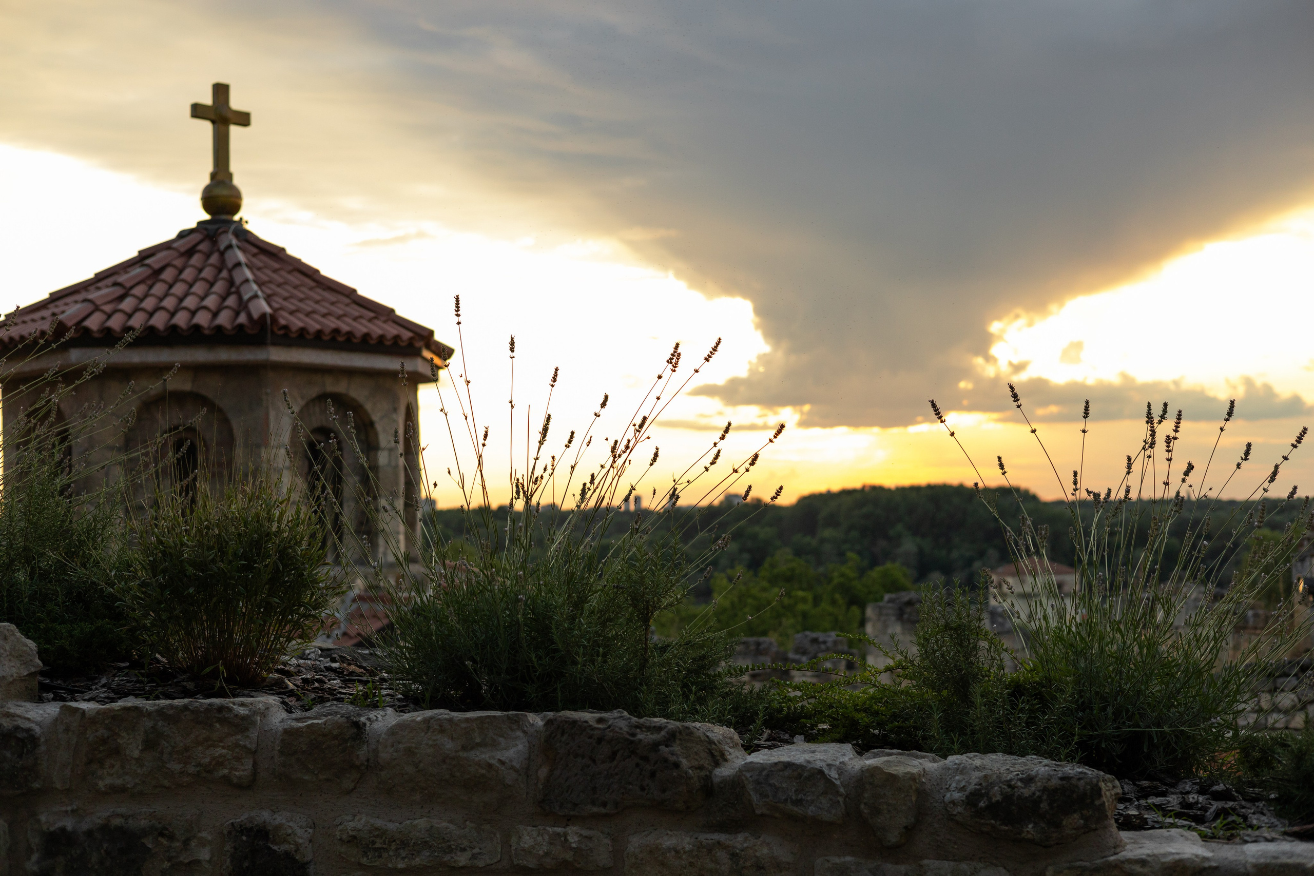 Настя, Денис и Мося. Фотограф-анималист | Белград