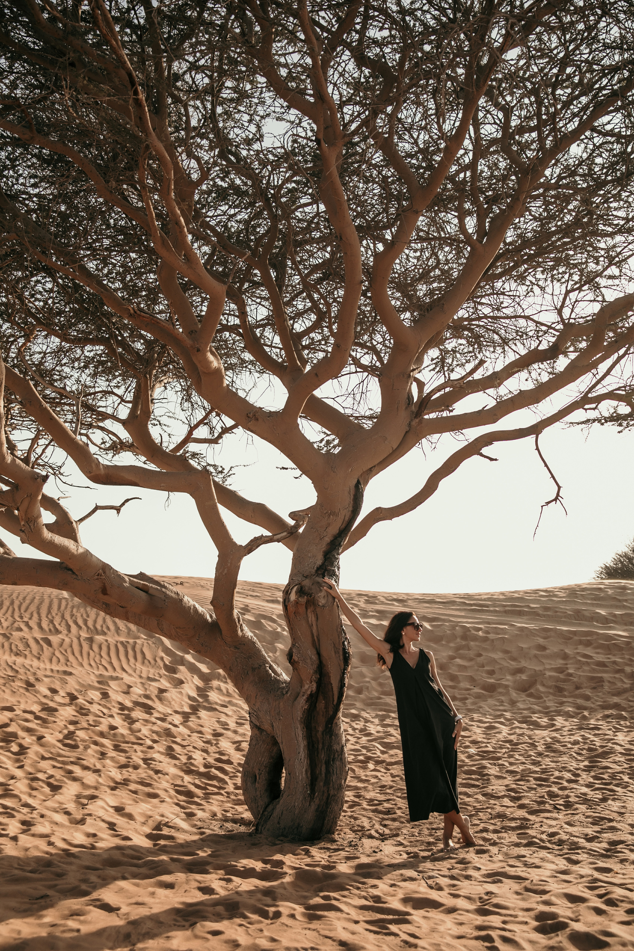 Karina. Graceful beauty. Портретний та весільний фотограф Надія Онода