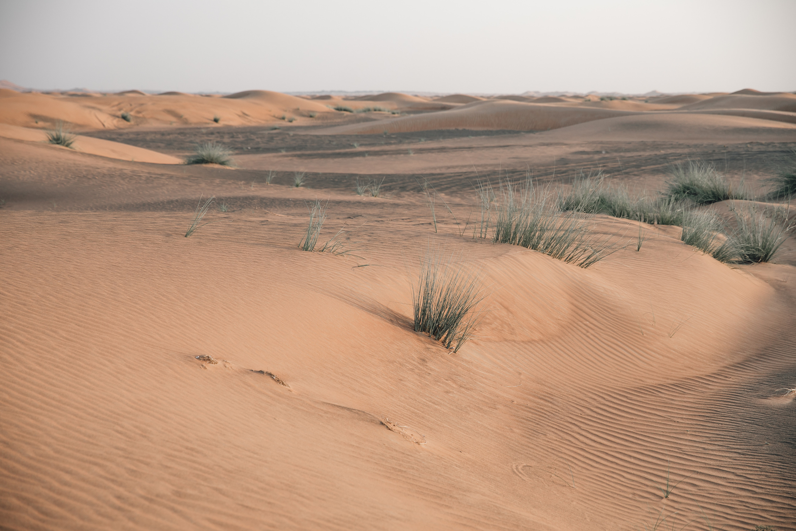 Karina. Graceful beauty. Портретний та весільний фотограф Надія Онода