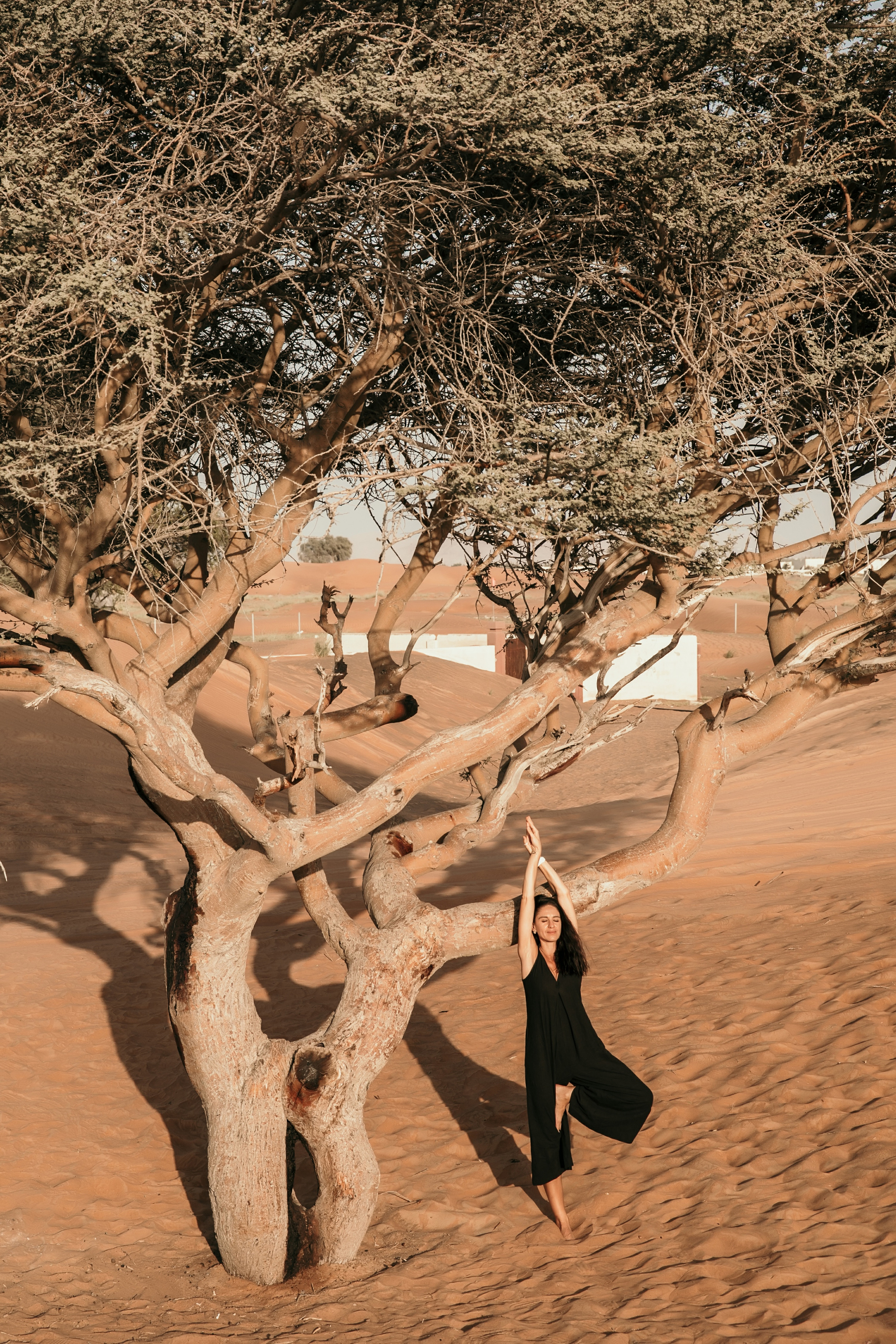 Karina. Graceful beauty. Портретний та весільний фотограф Надія Онода