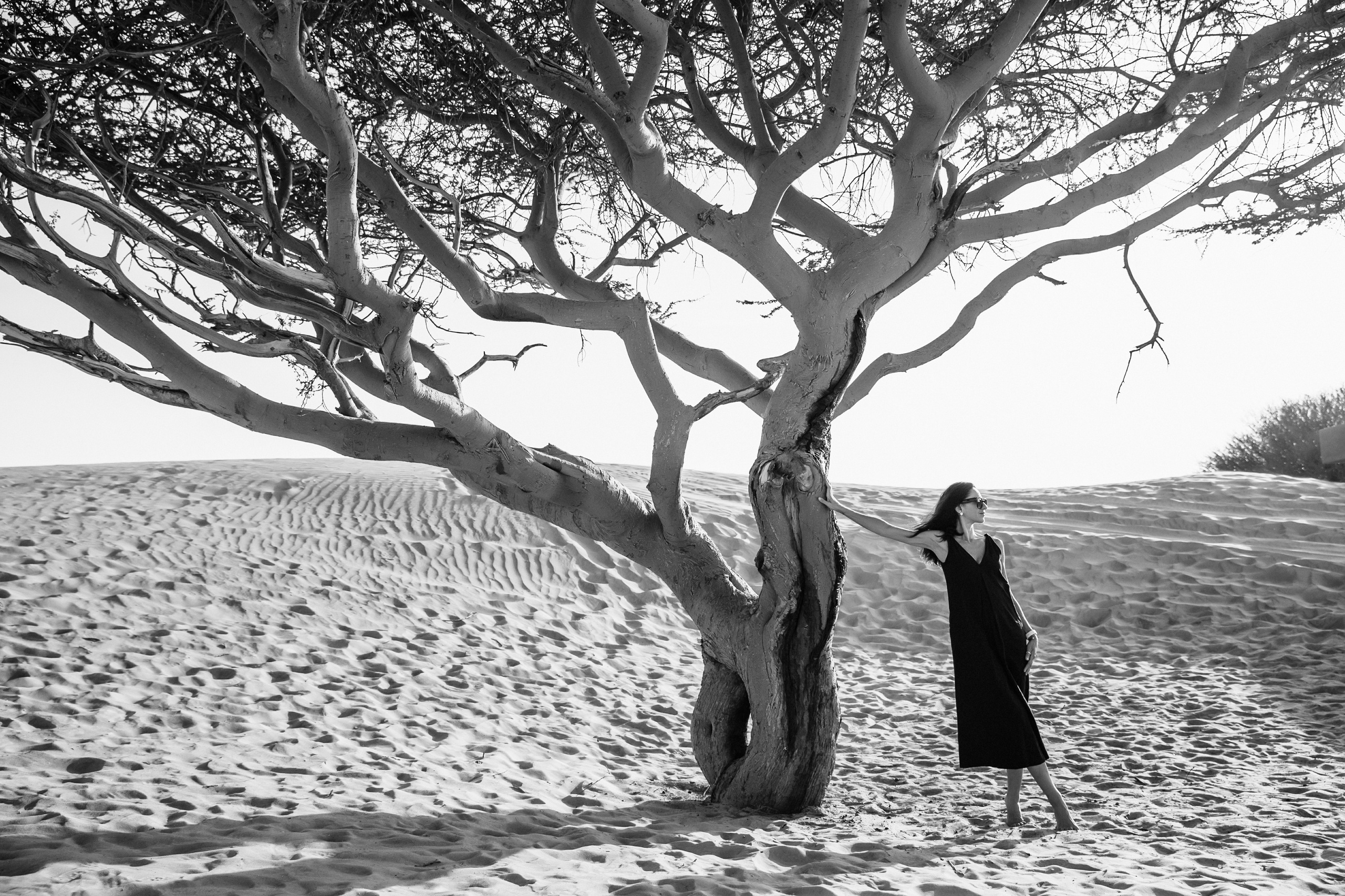 Karina. Graceful beauty. Портретний та весільний фотограф Надія Онода