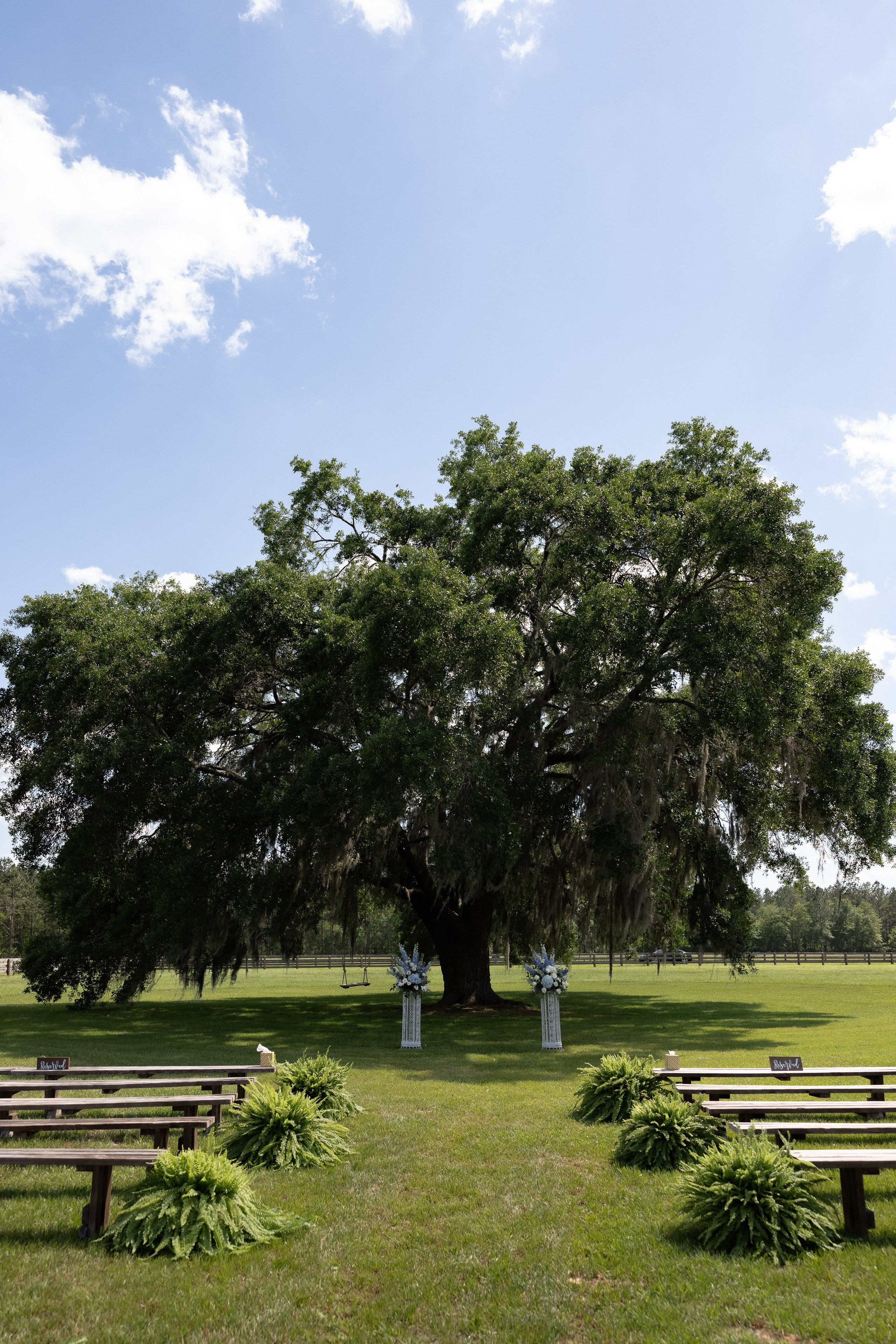 Haley and Will. Photographer Anastasia Nagibina