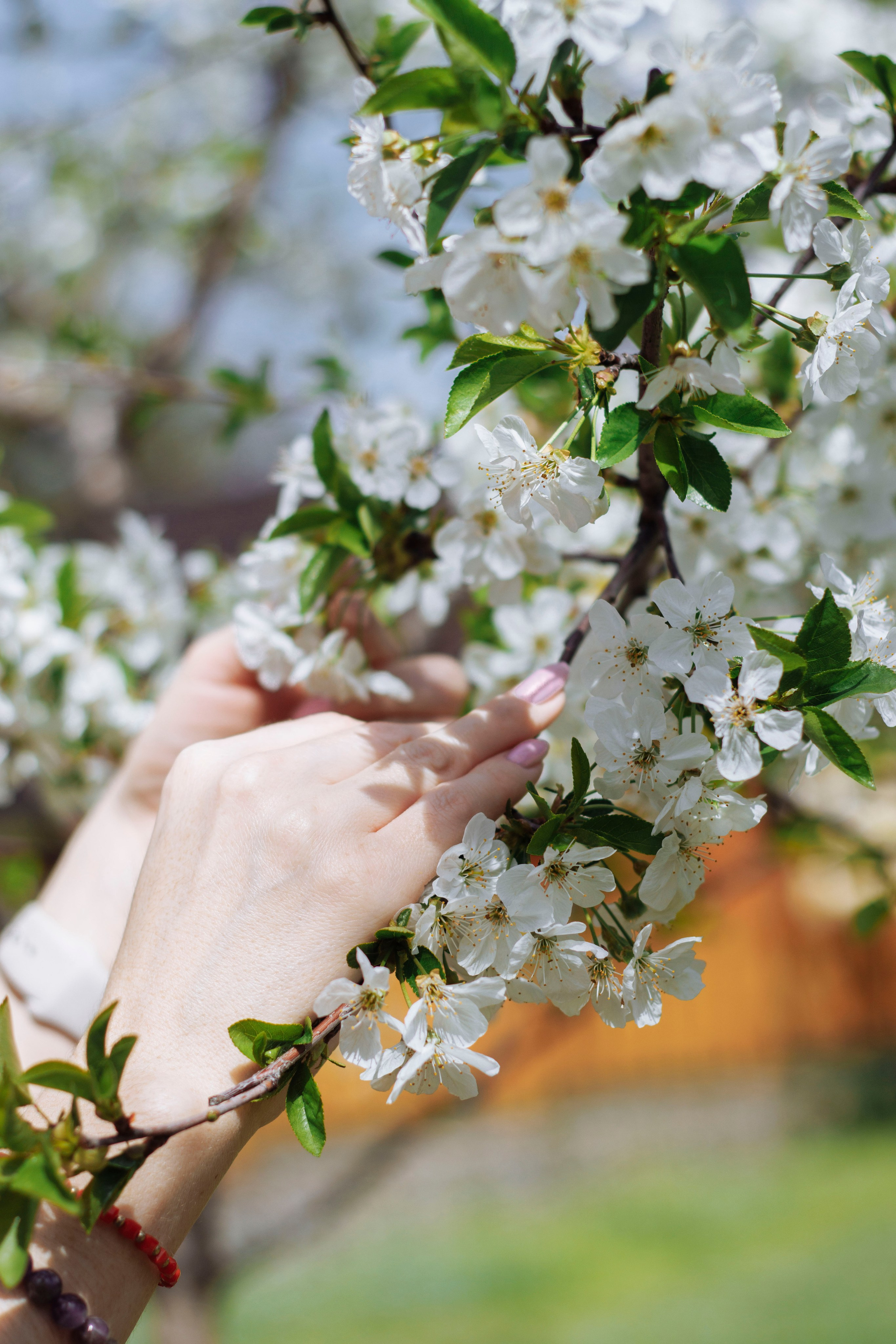 Наргиза. Фотограф в Ташкенте, Аксенова Дарья