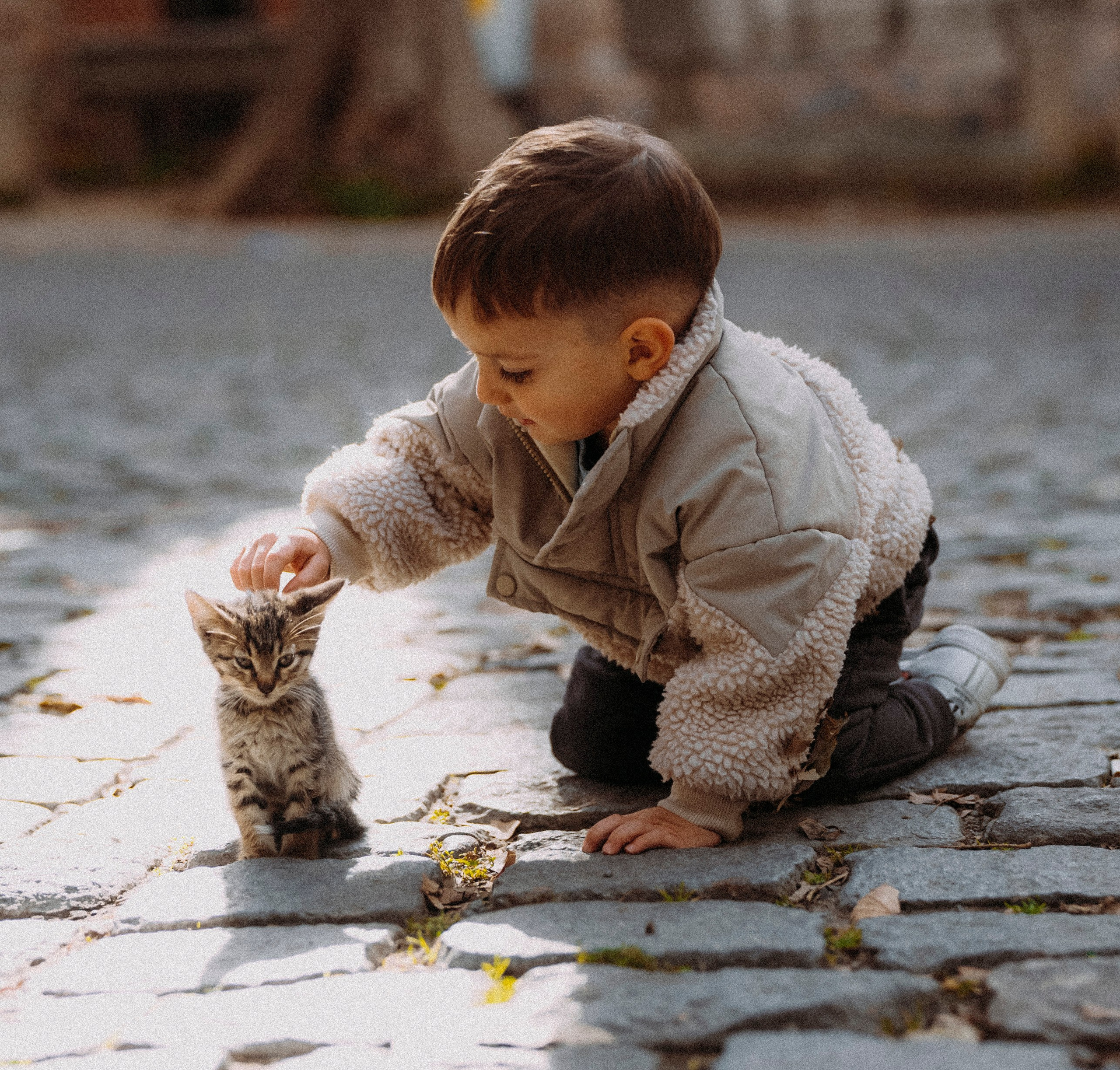 СТАМБУЛ. Стрит-фотография, полная абсурда, идиотизма и красоты