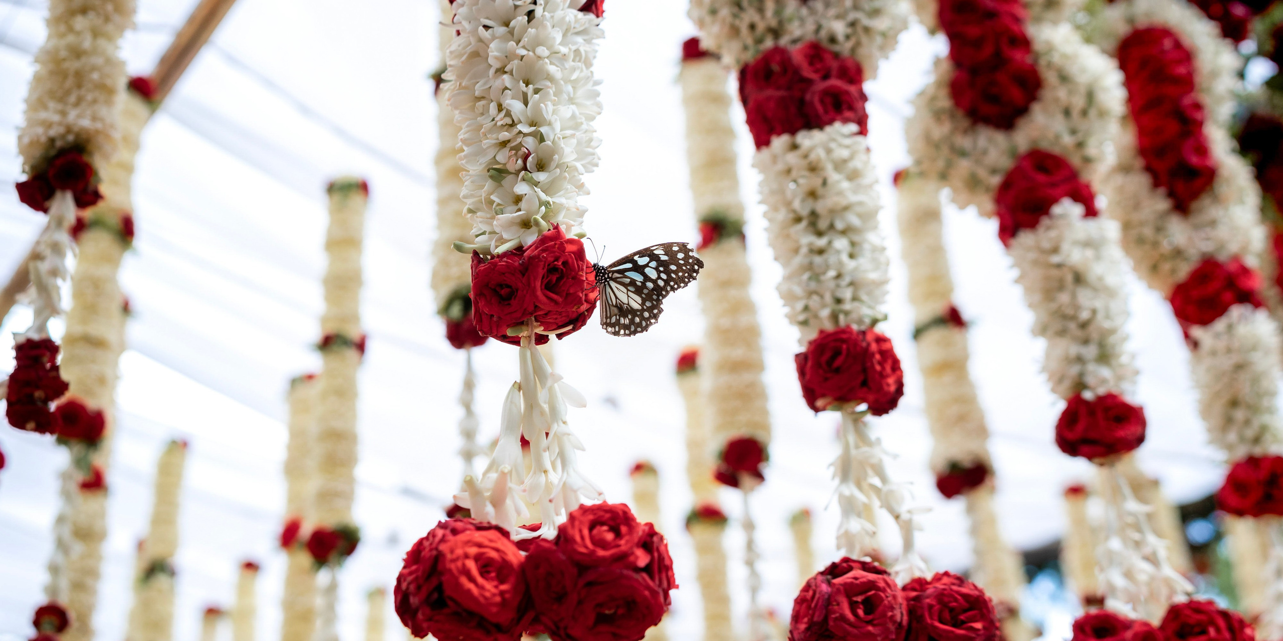 Start Your Story. Truly Yours | Documentary Wedding Photography & Films | Sharath Padaru, Bangalore