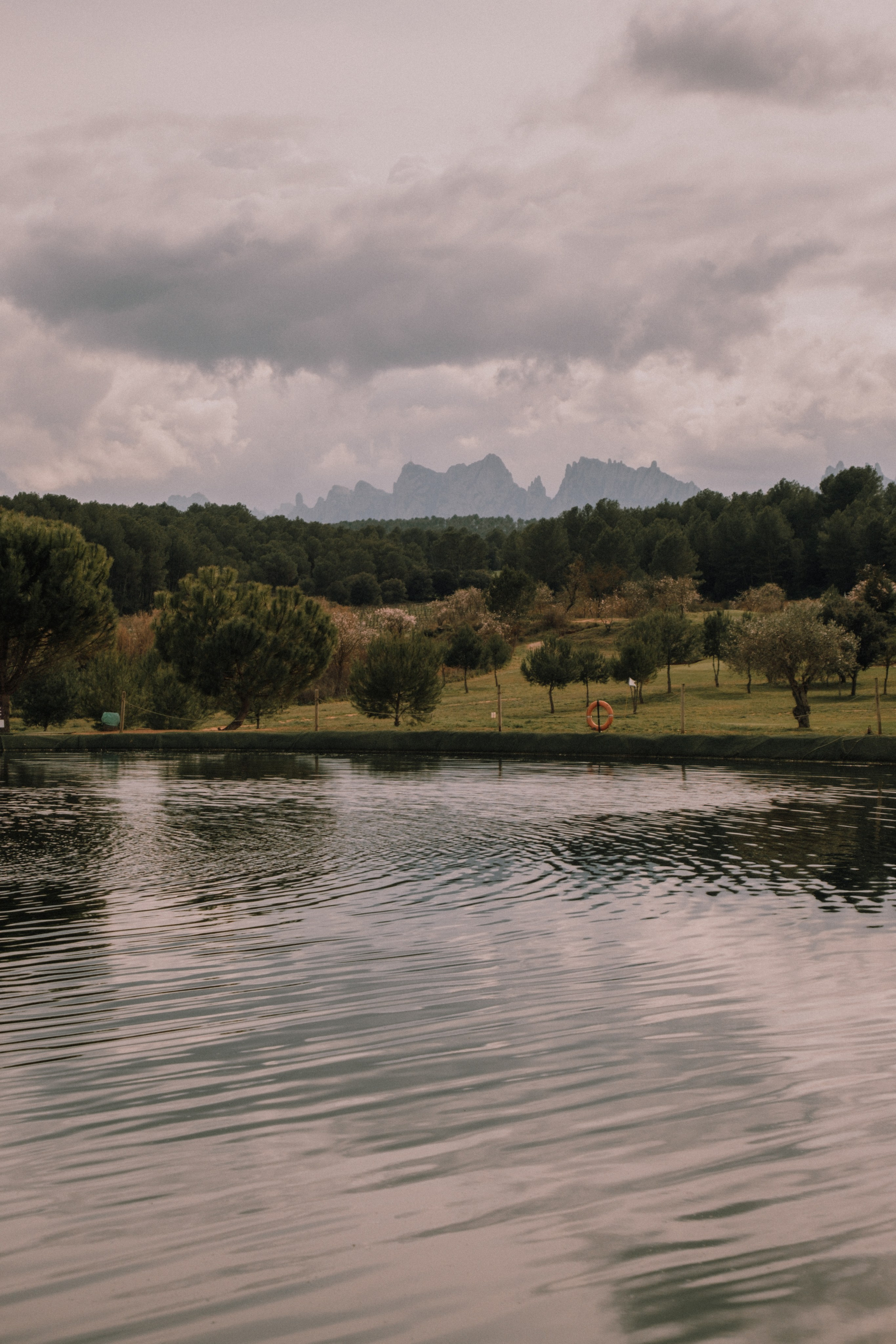 Sesión familiar en el bosque. Fotografía profesional en Calafell - Elena Medvedeva