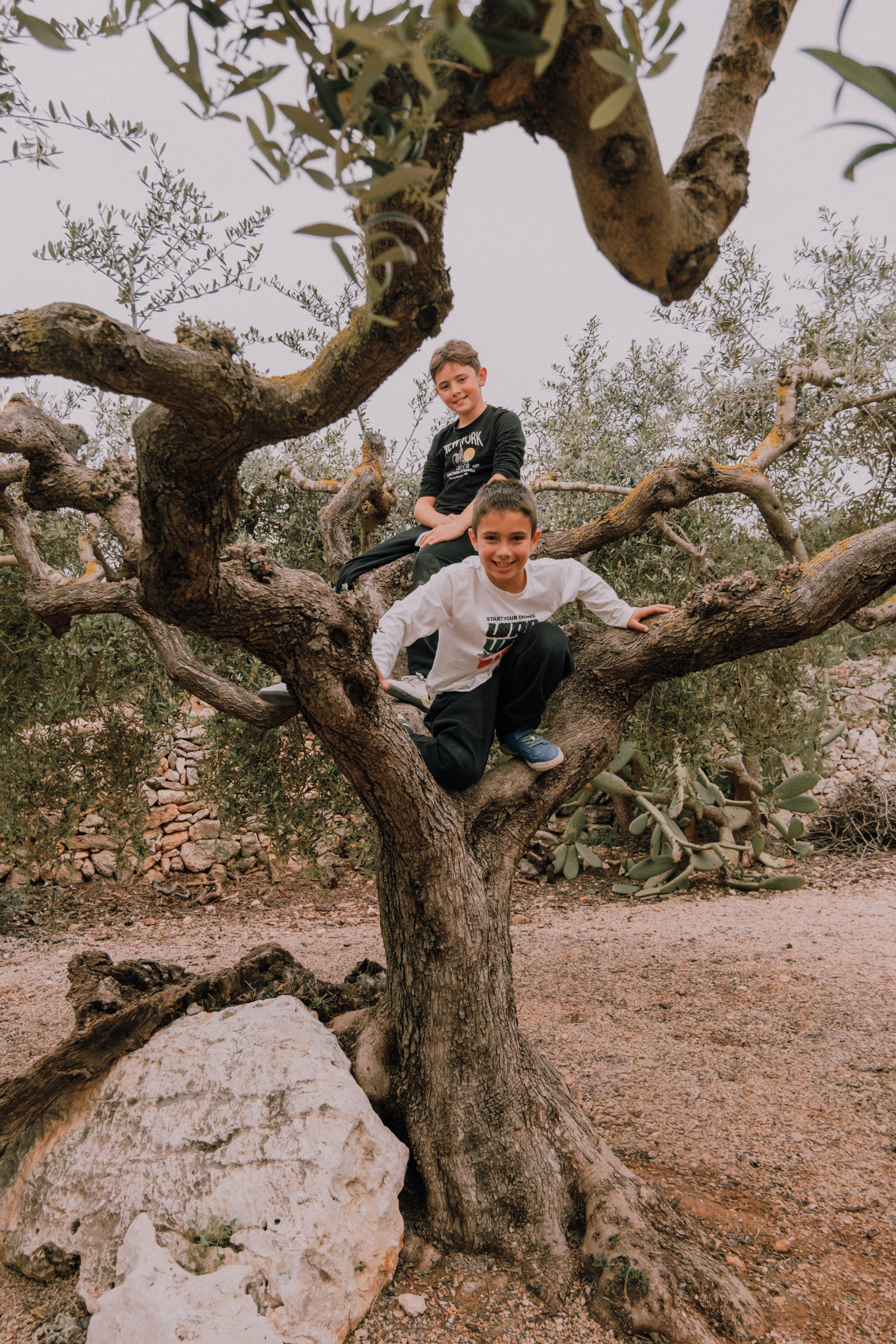 Sesión familiar. Профессиональная фотосъемка в Калафелле — Елена Медведева