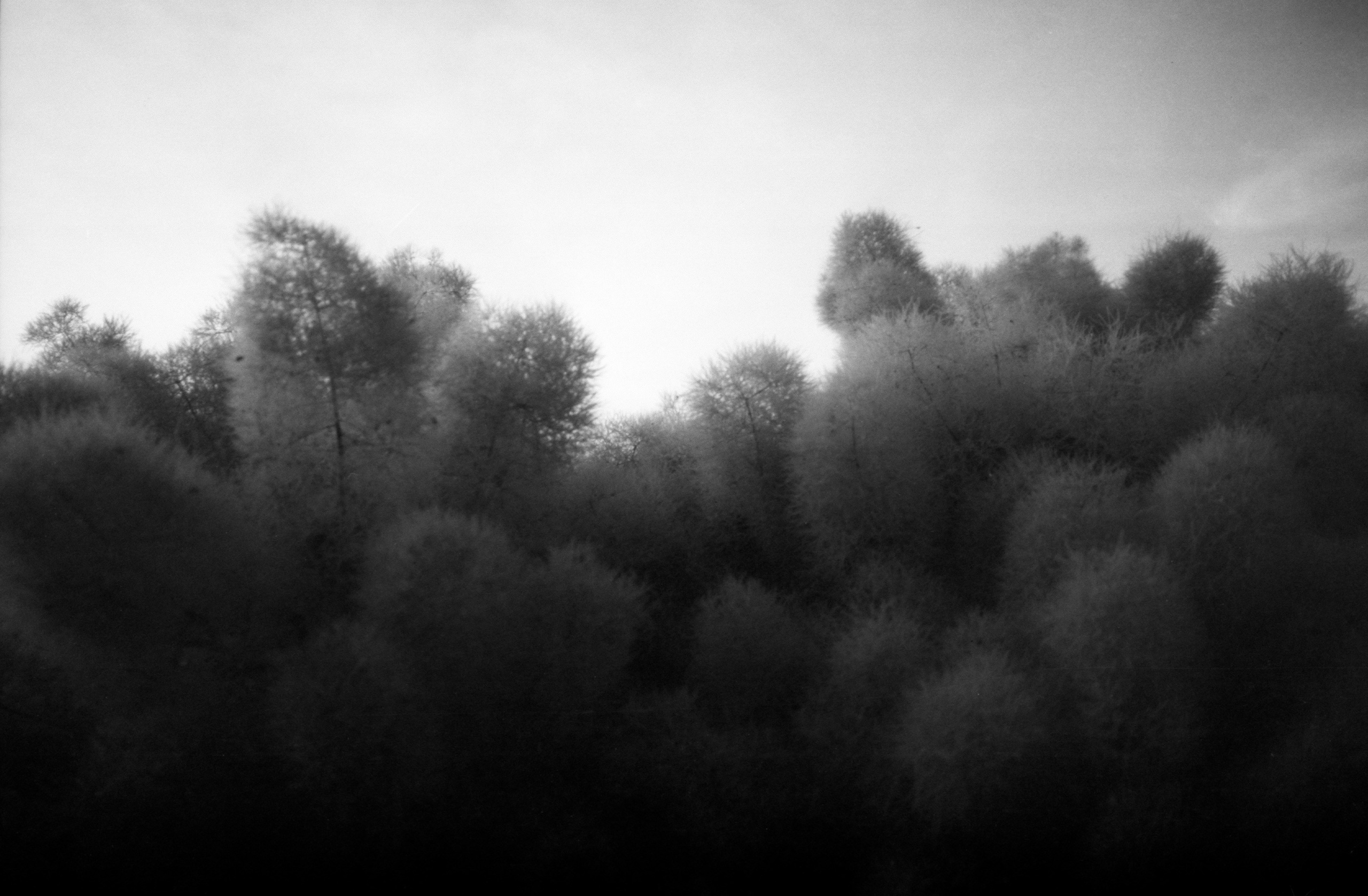 Silent light. Natalia Parfenova visual artist film photographer