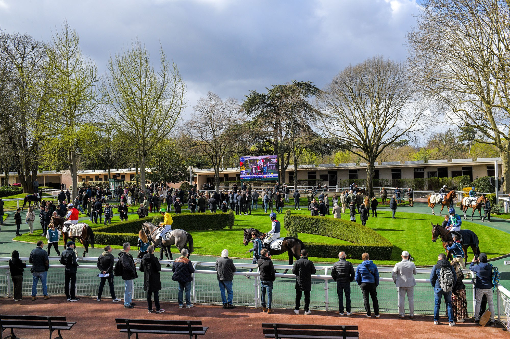 Horse Racing Photography at Hippodrome d’Auteuil