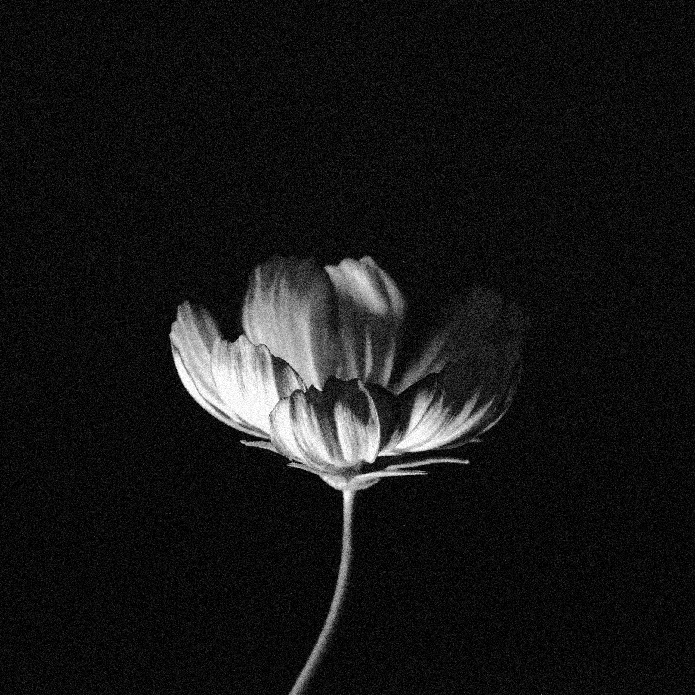 Art. Photographe à Rennes/Bruz