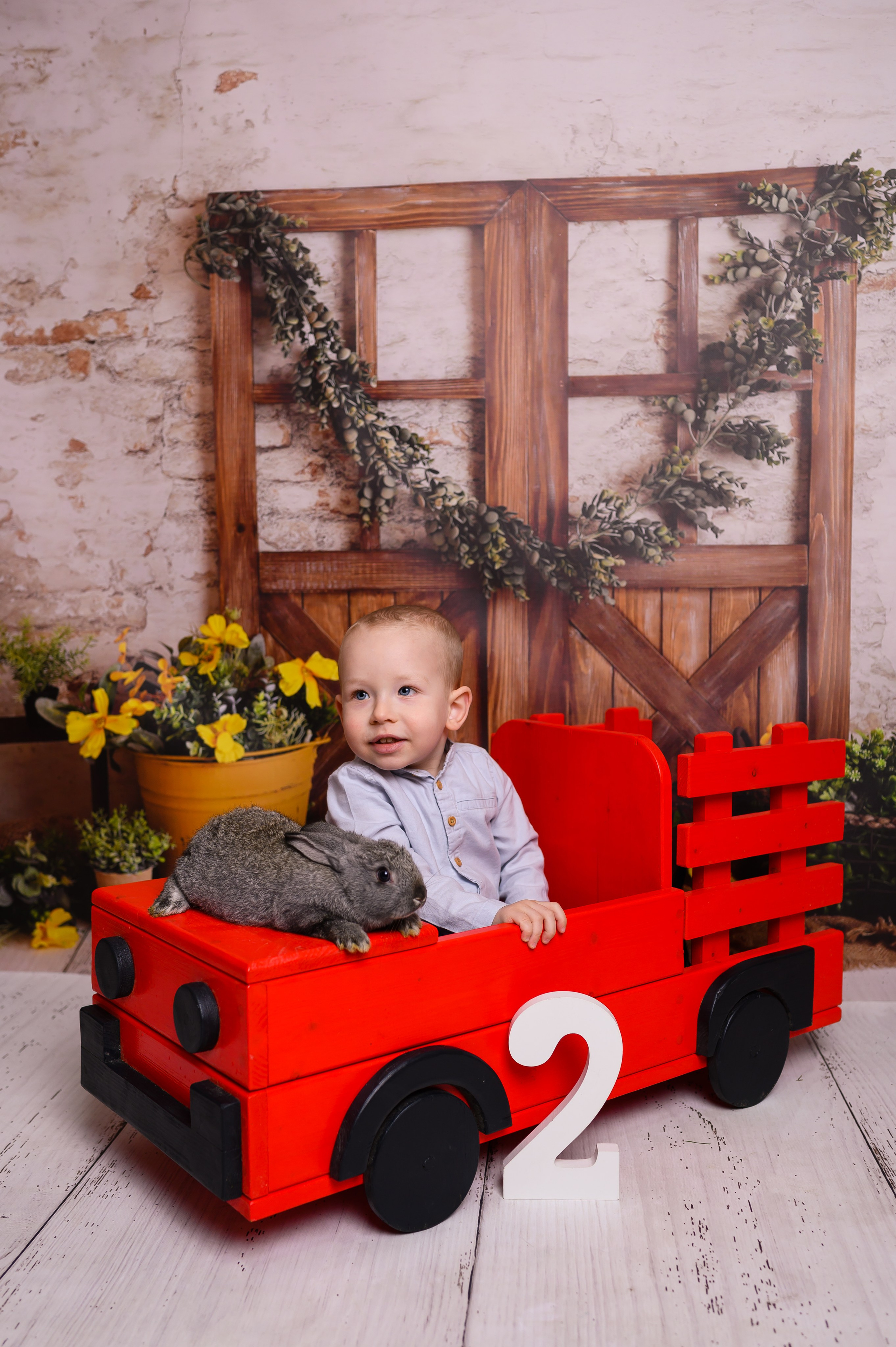 Studio. Ligiafoto.ro