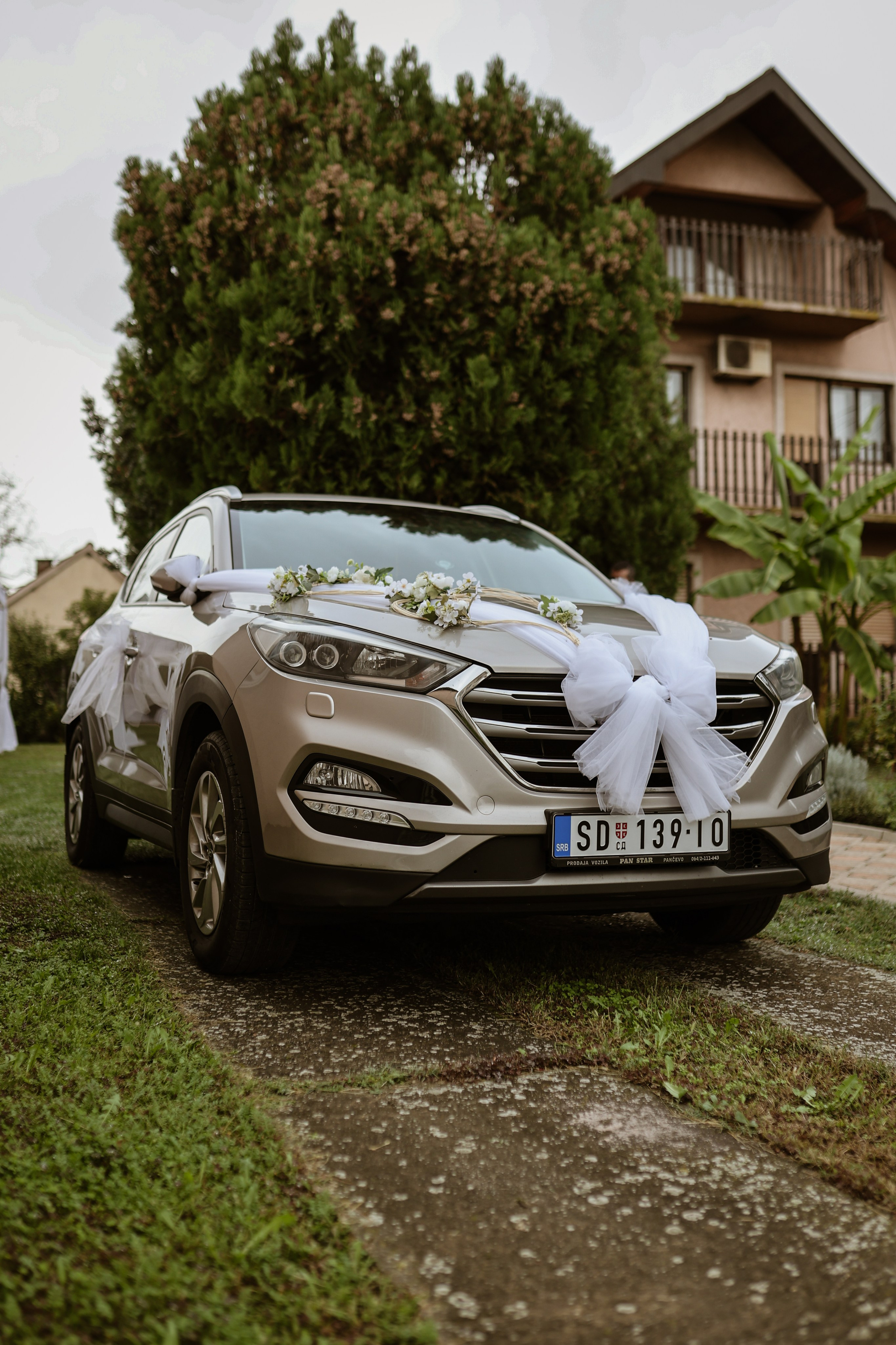 Wedding’s. Filić Aleksandar