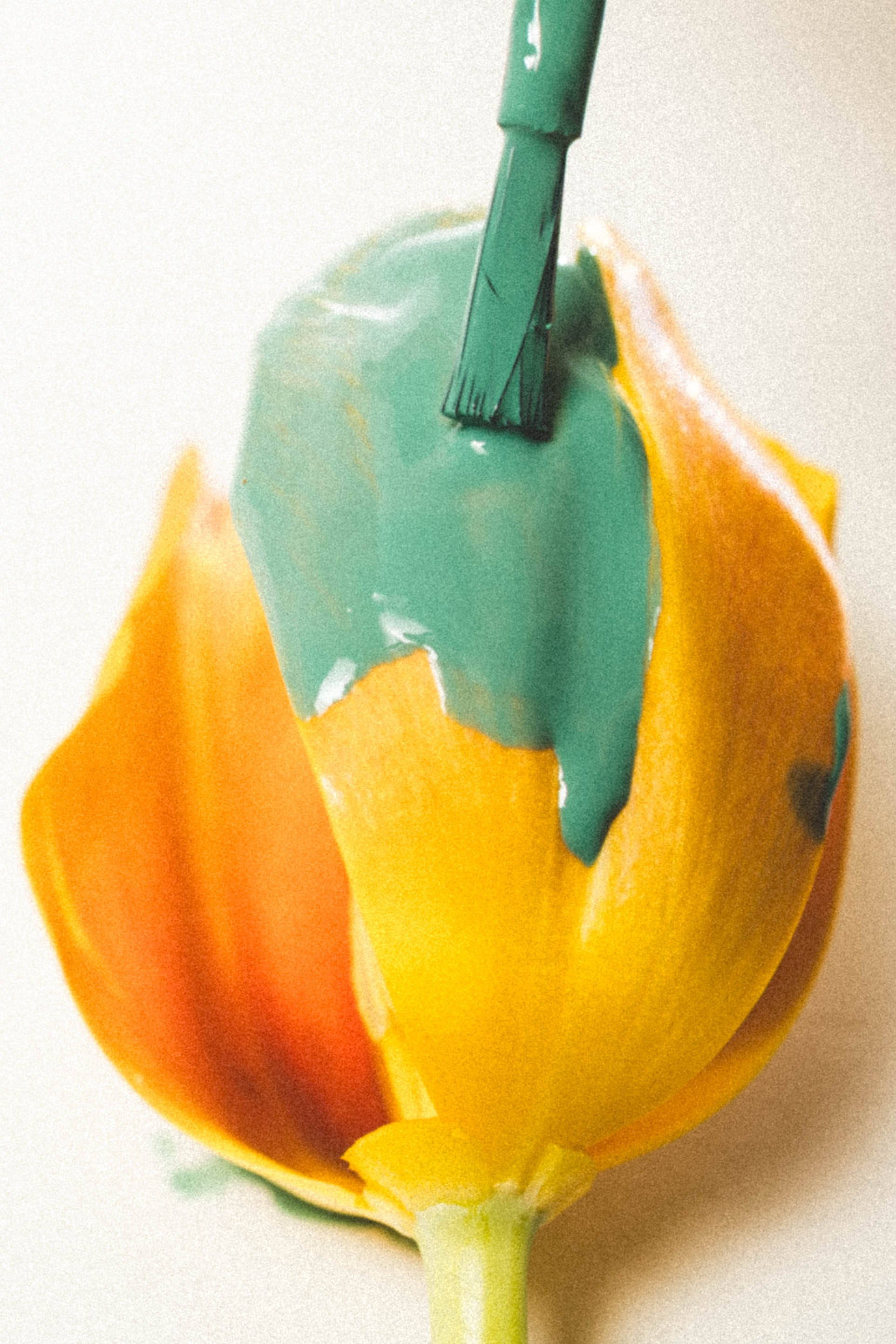 Photography in Singapore