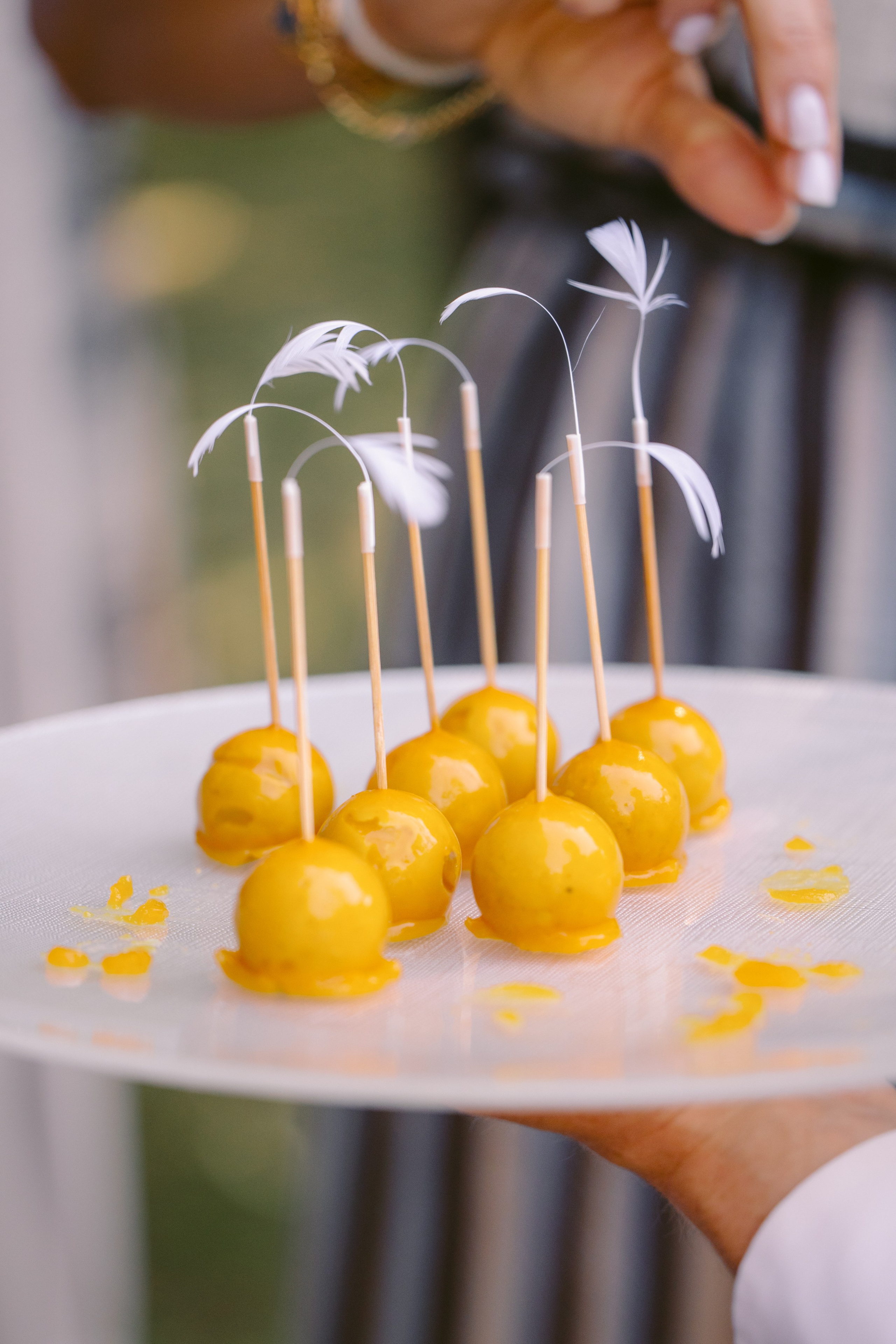 Xenia & Aleksey. Photographer in Paris