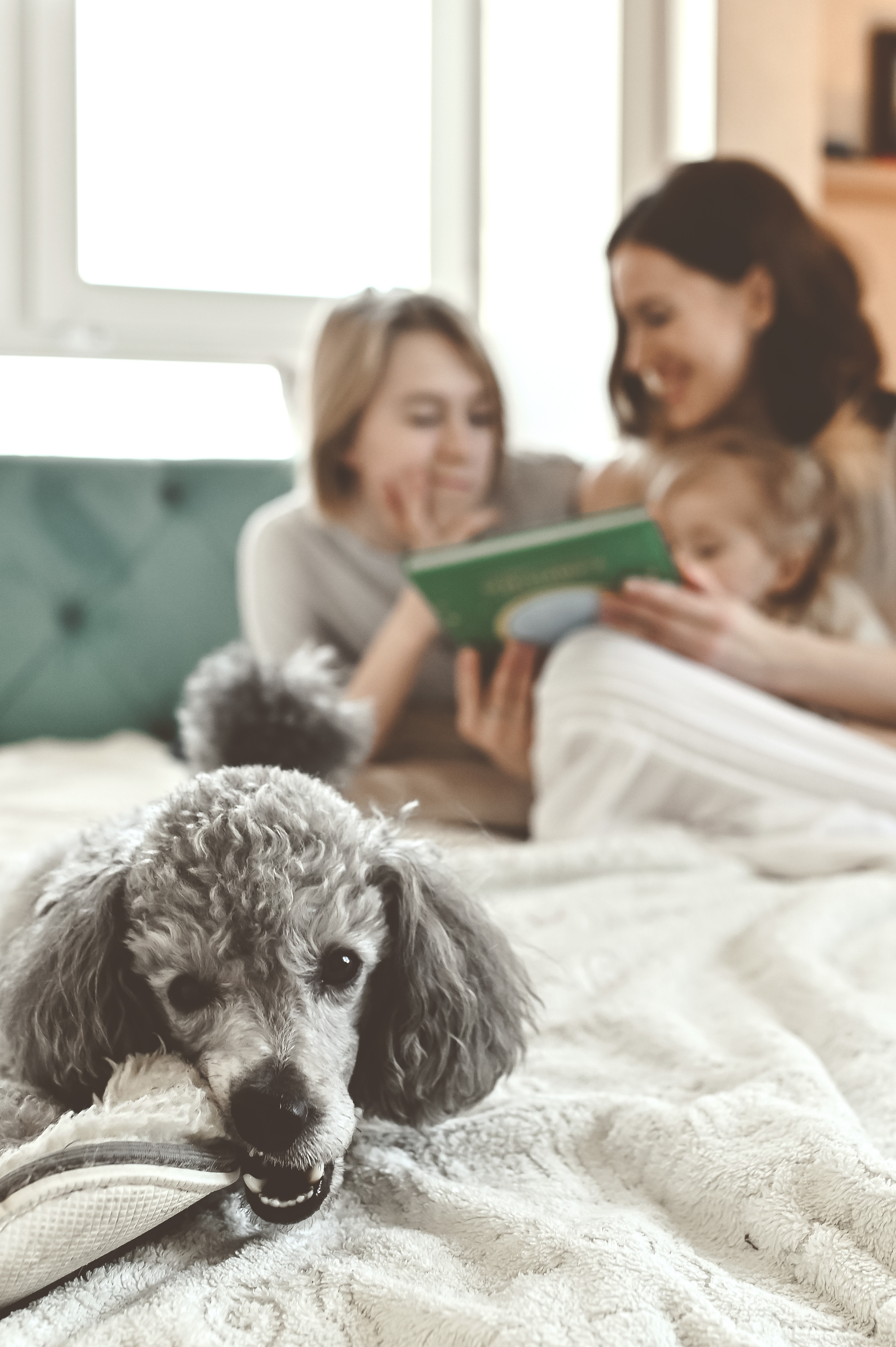 ДОМАШНЯЯ СЪЁМКА У КАТИ