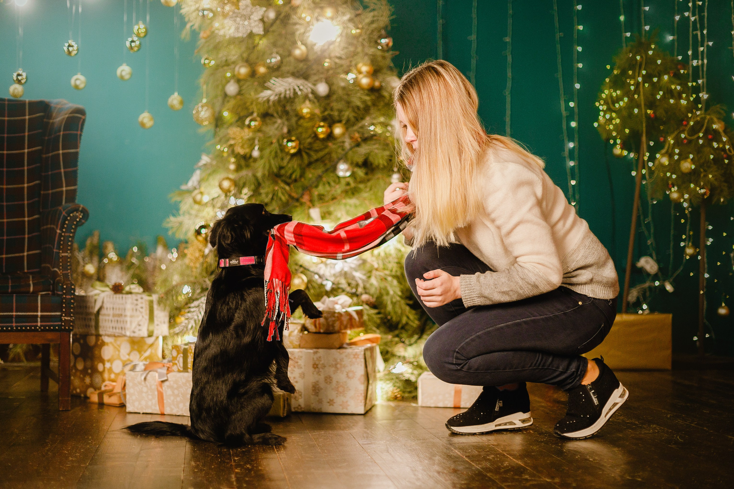 Lana, Edgar and Mucha | new year studio. Kaja | fotograf psów we Wrocławiu