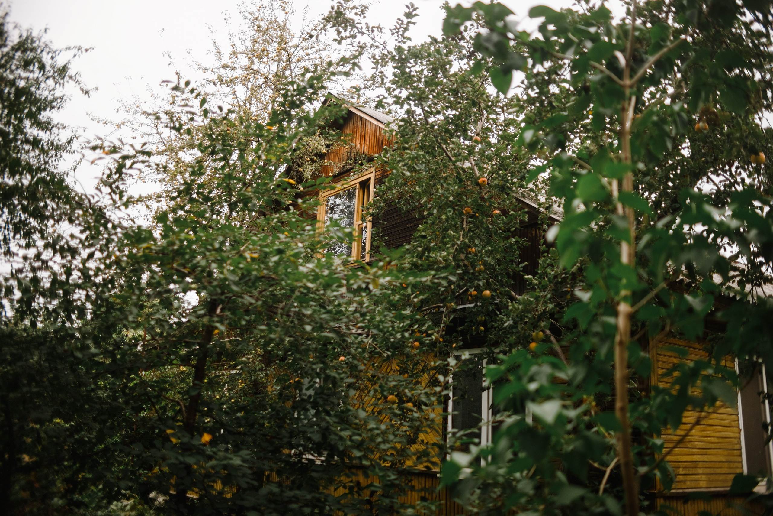 Grodno. Kaja | fotograf we Wrocławiu | ludzie i psy