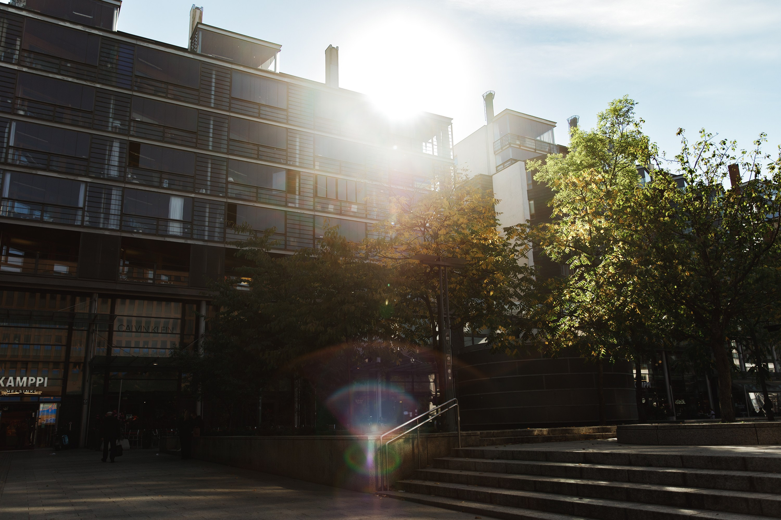 Helsinki. Kaja | fotograf psów we Wrocławiu