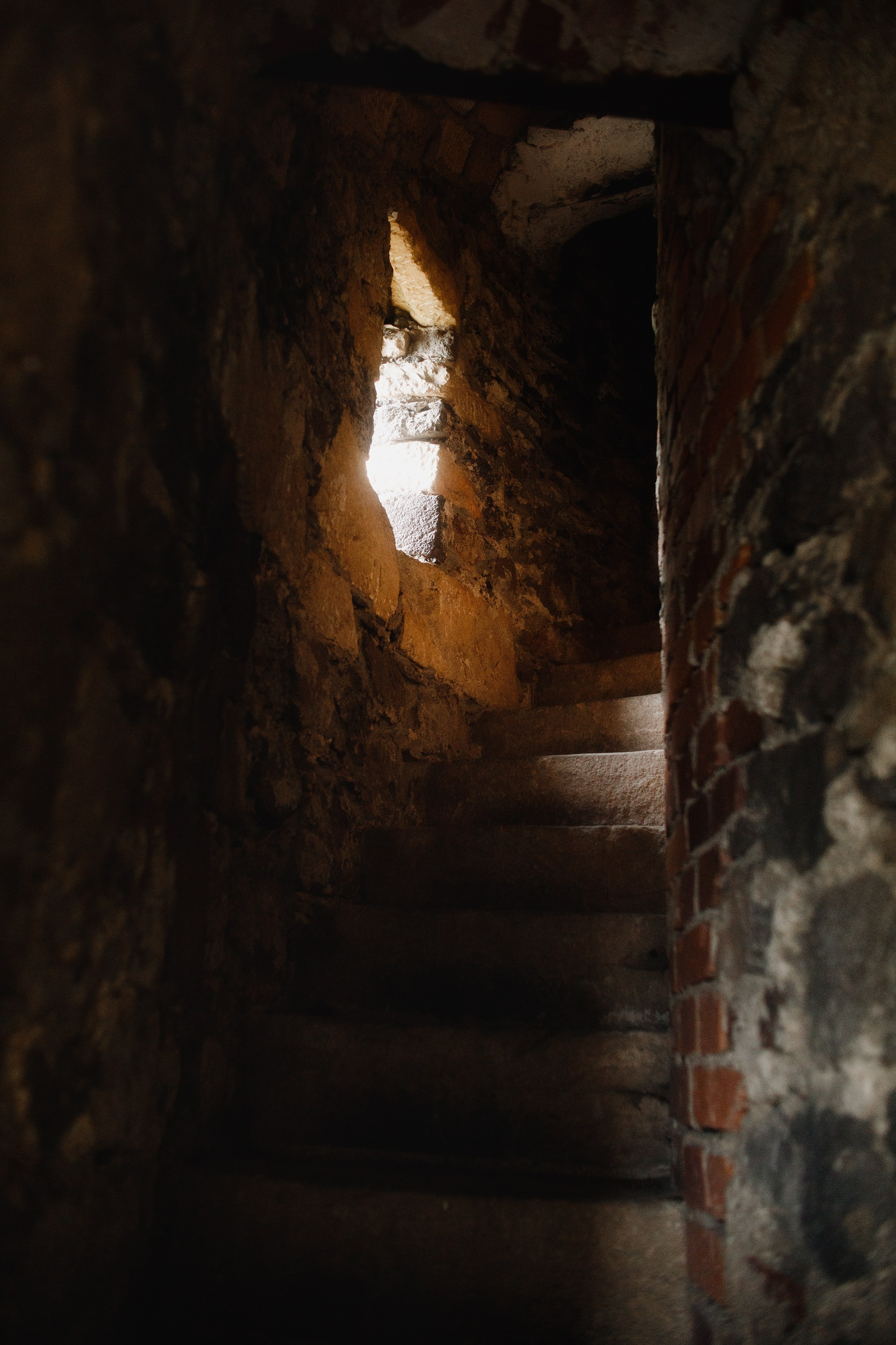 Zamek Grodziec. Kaja | fotograf psów we Wrocławiu