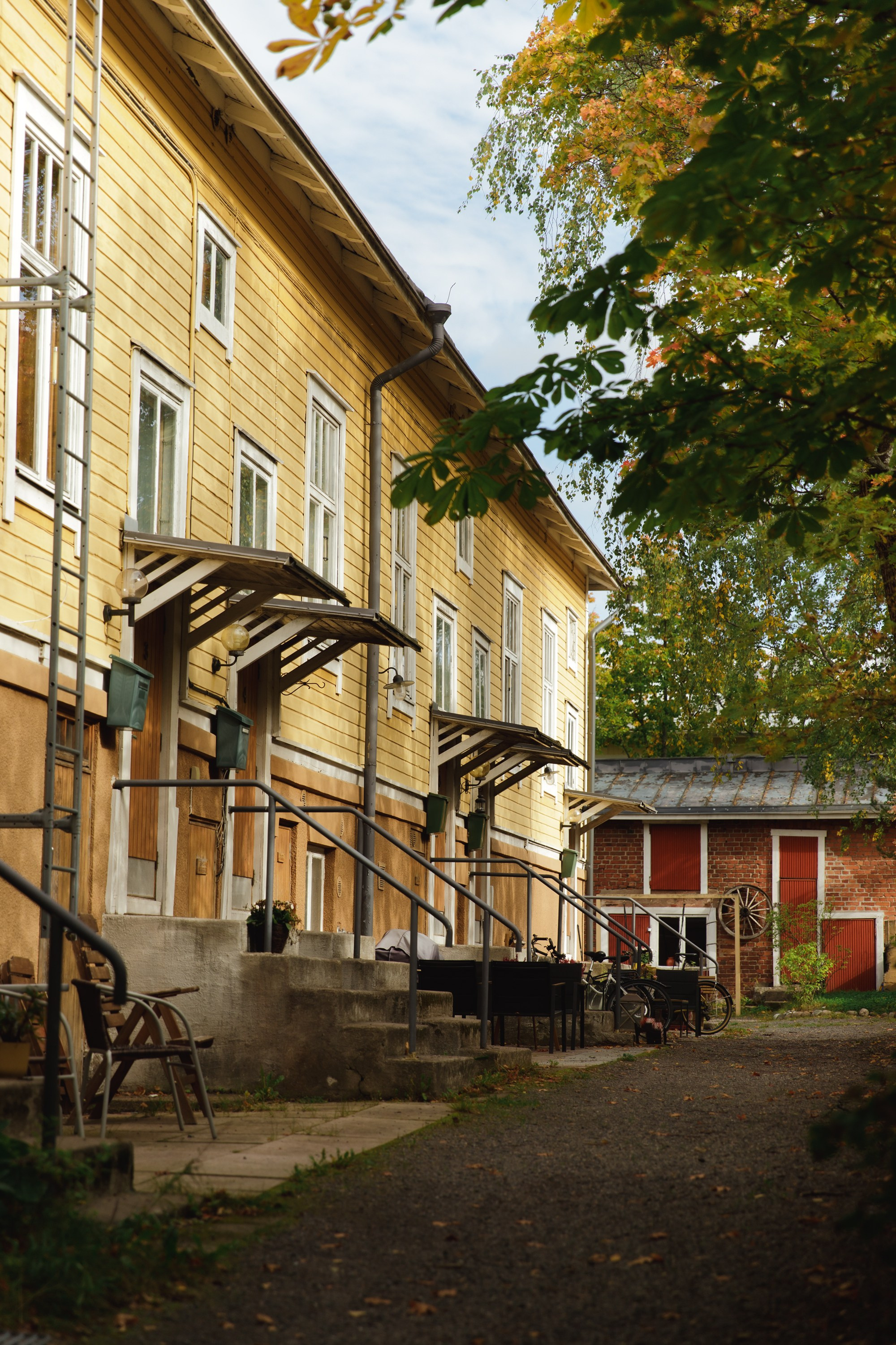 Turku. Kaja | fotograf psów we Wrocławiu