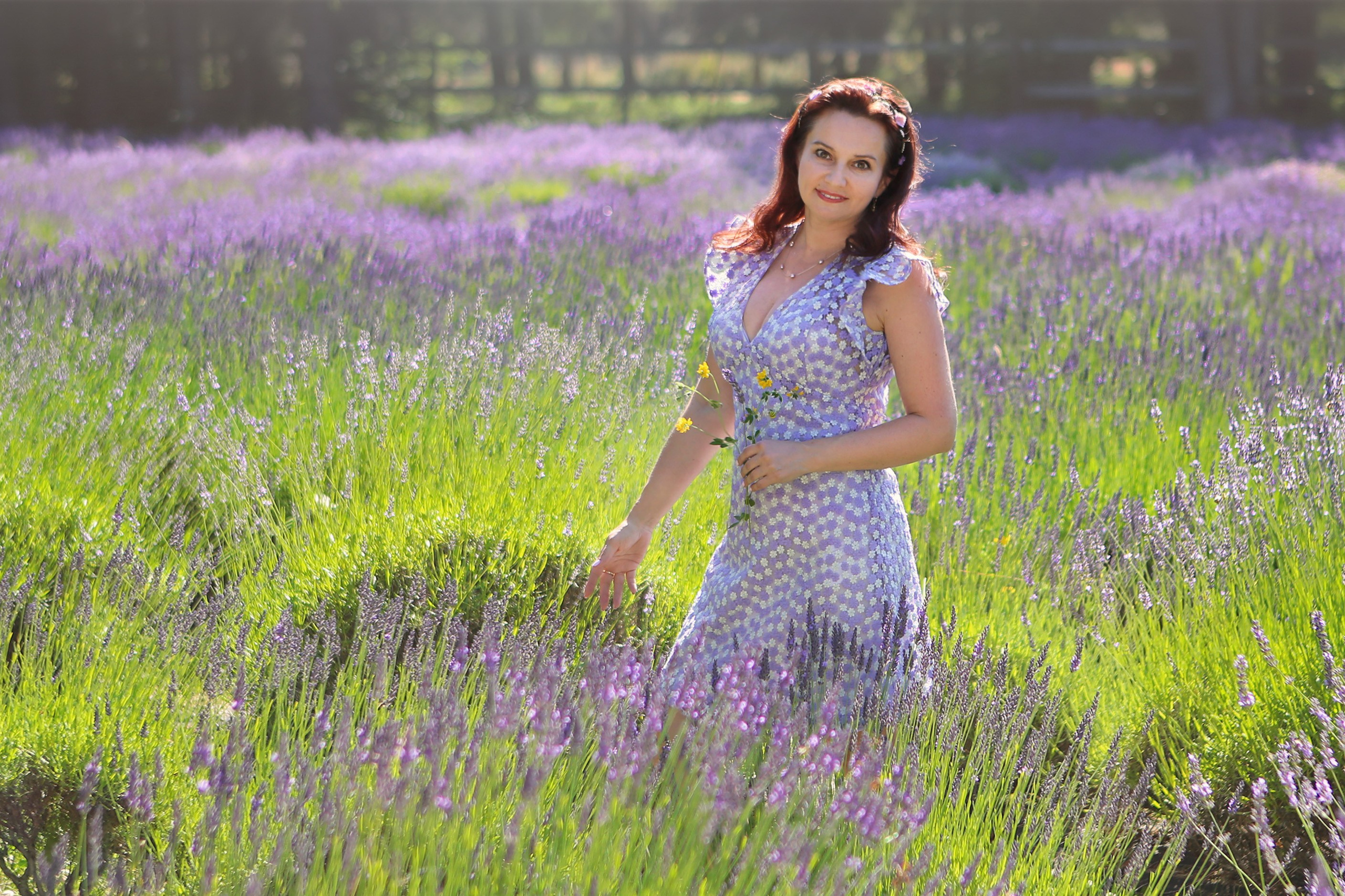 Lavender fields photoshoot. YuAnna studio. Family & Kids Photographer in Seattle area, located in