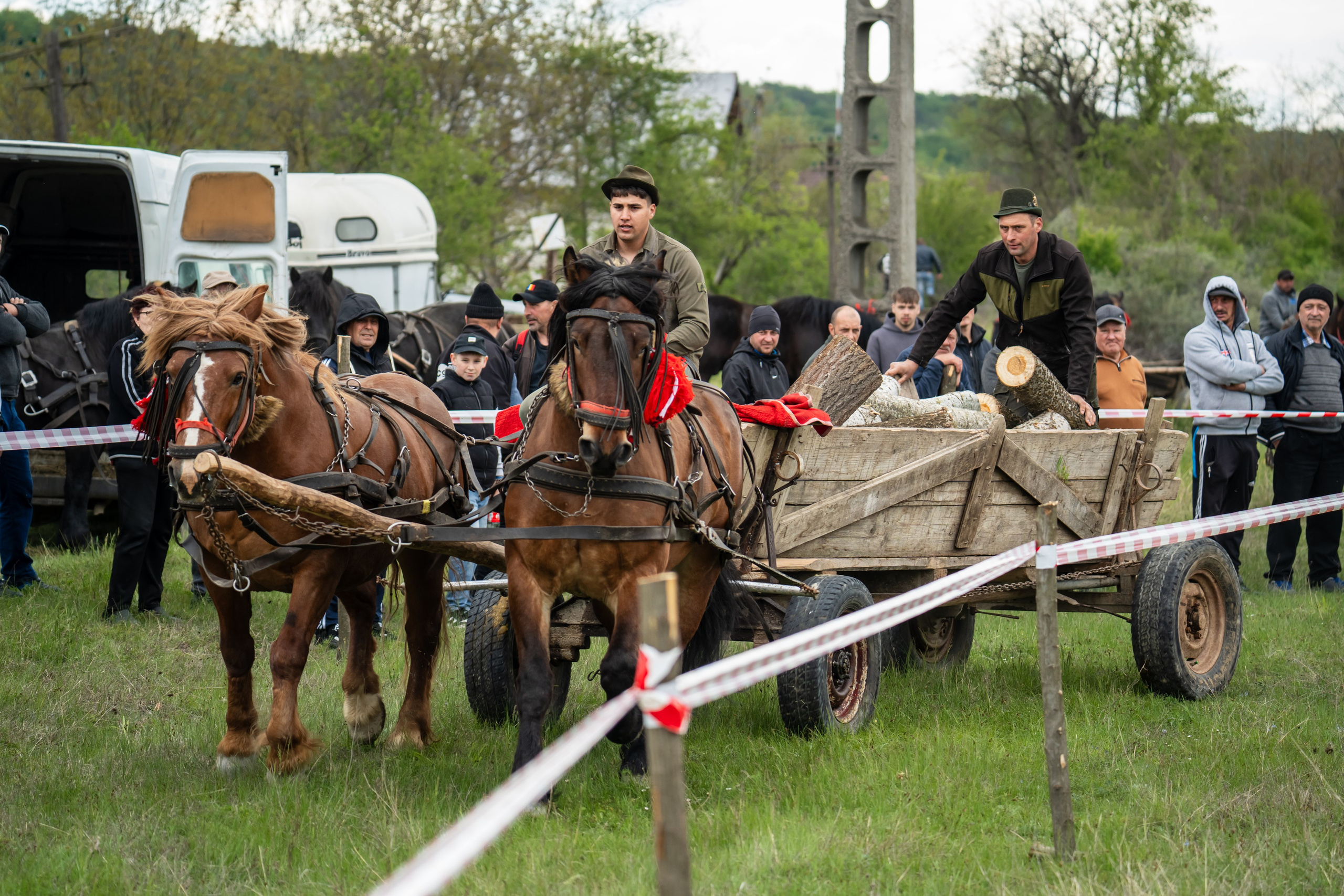 Concurs Ecvestru Vărbilău ediția a 4-a. Mihai Alexandra Events