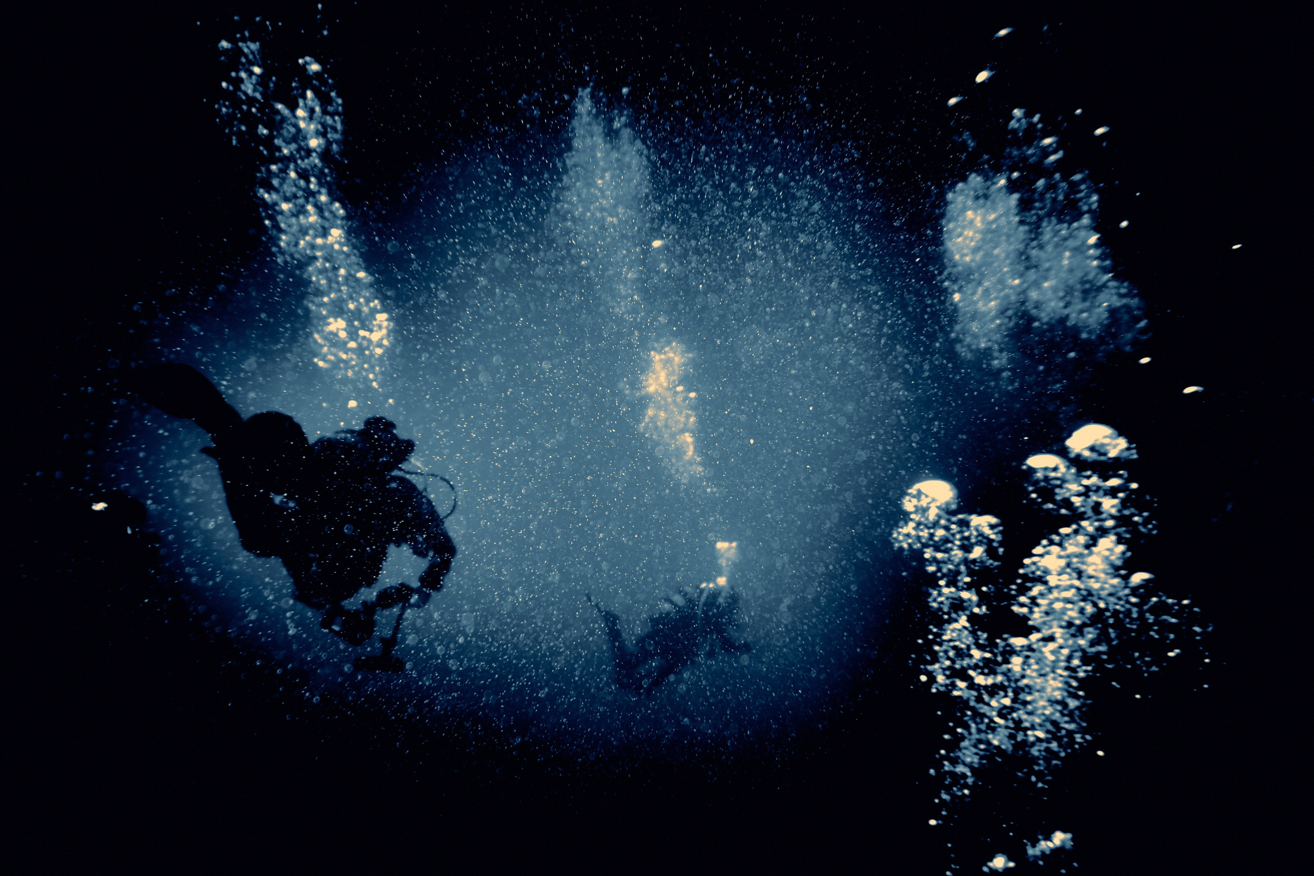 Fotograf podwodny Andriej Szypiłow. Андрей Шипилов — Фотография & Видеография