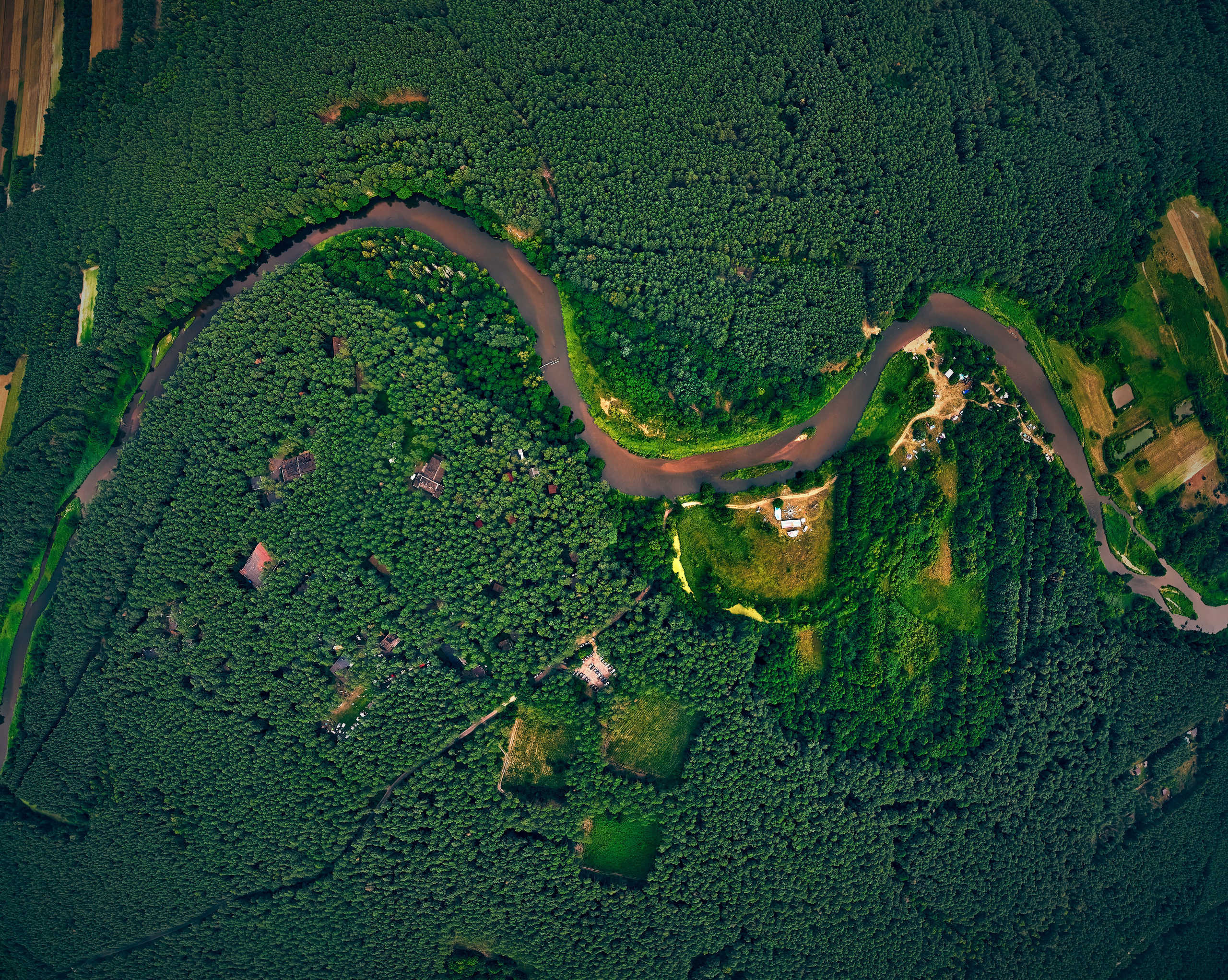 Organic Festival 2024. Андрей Шипилов — Фотография & Видеография